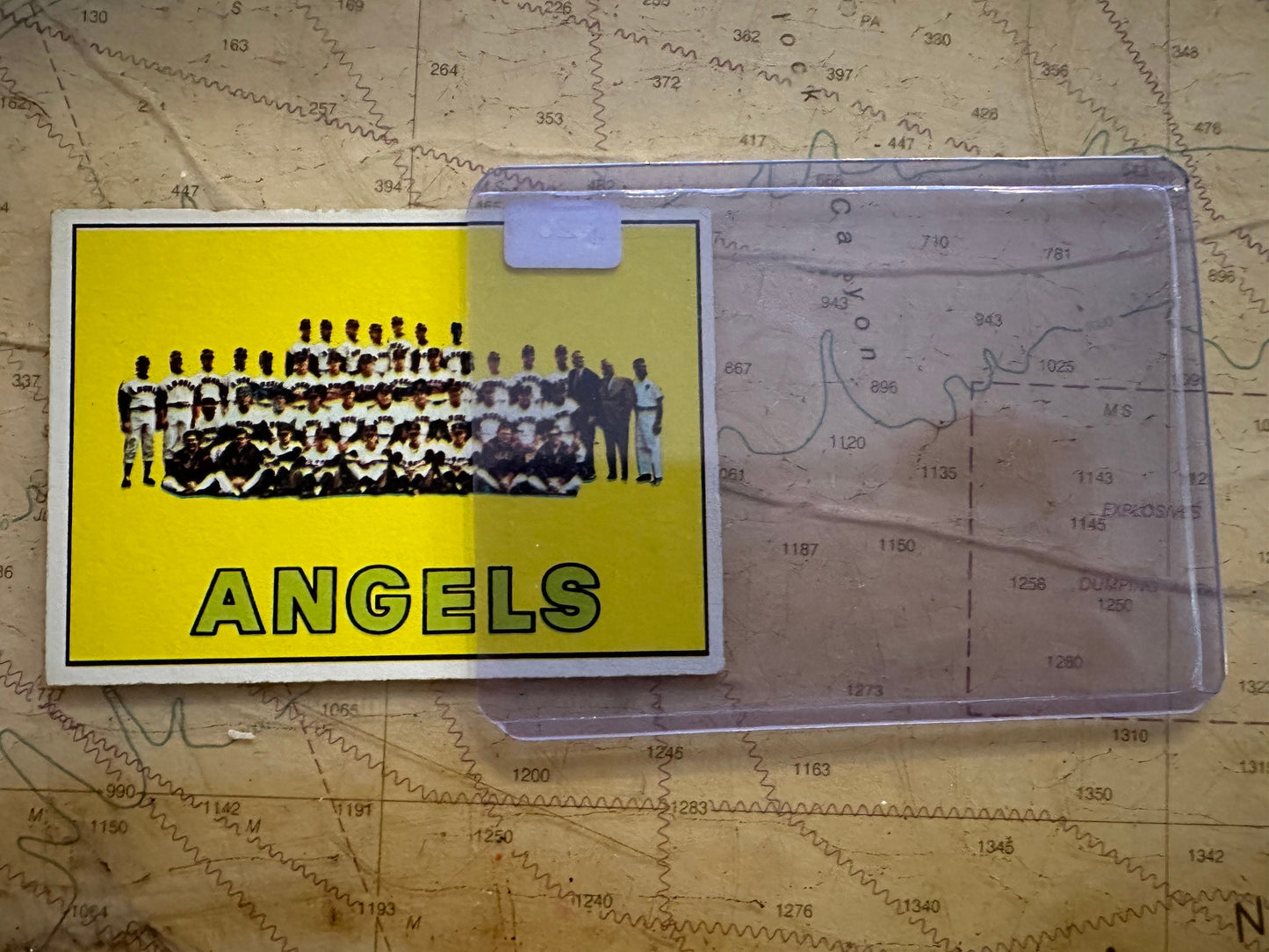 California Angles Team - Baseball Card | Memorabilia