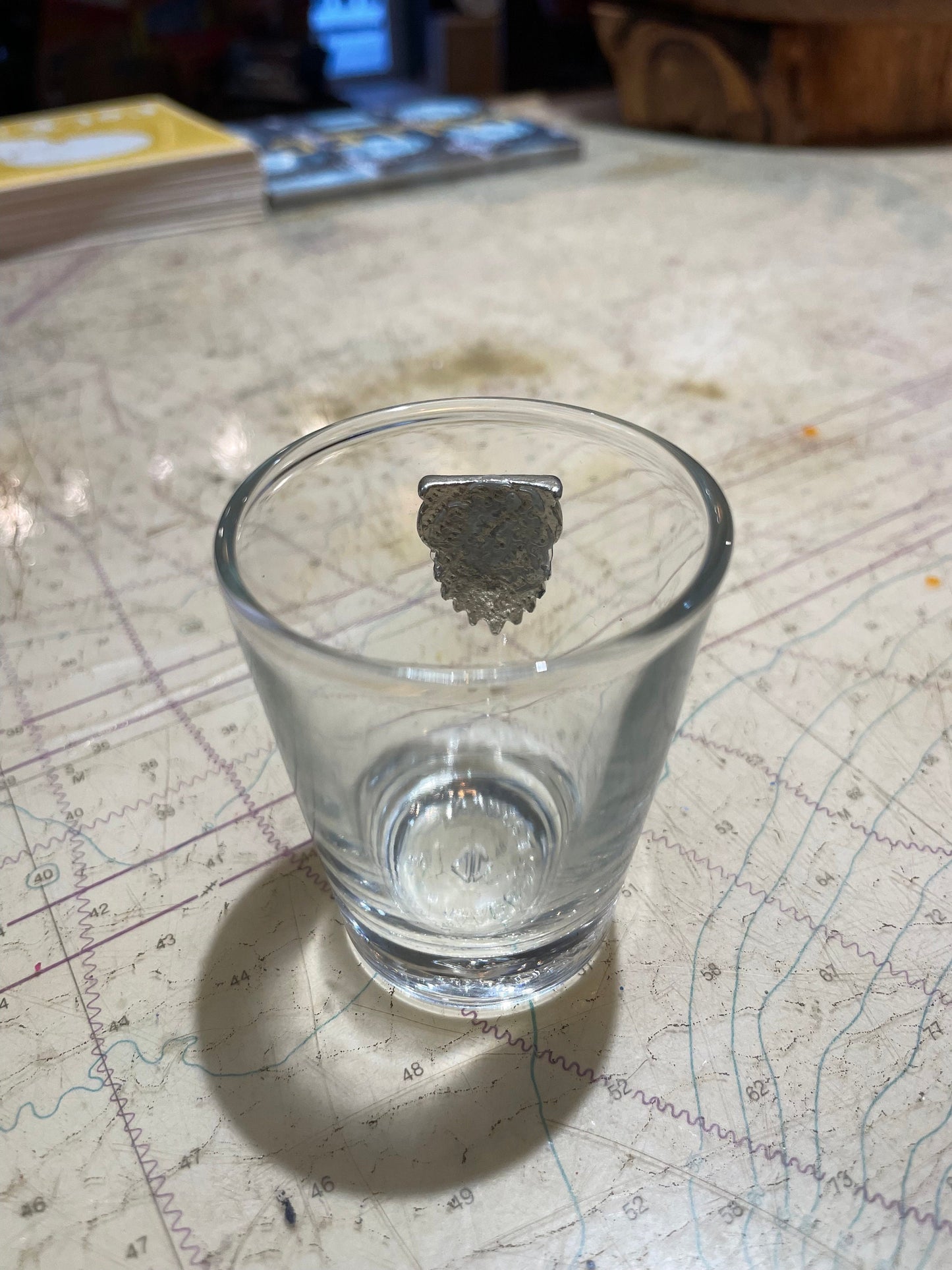 Vintage Yellowstone National Park Shot Glass