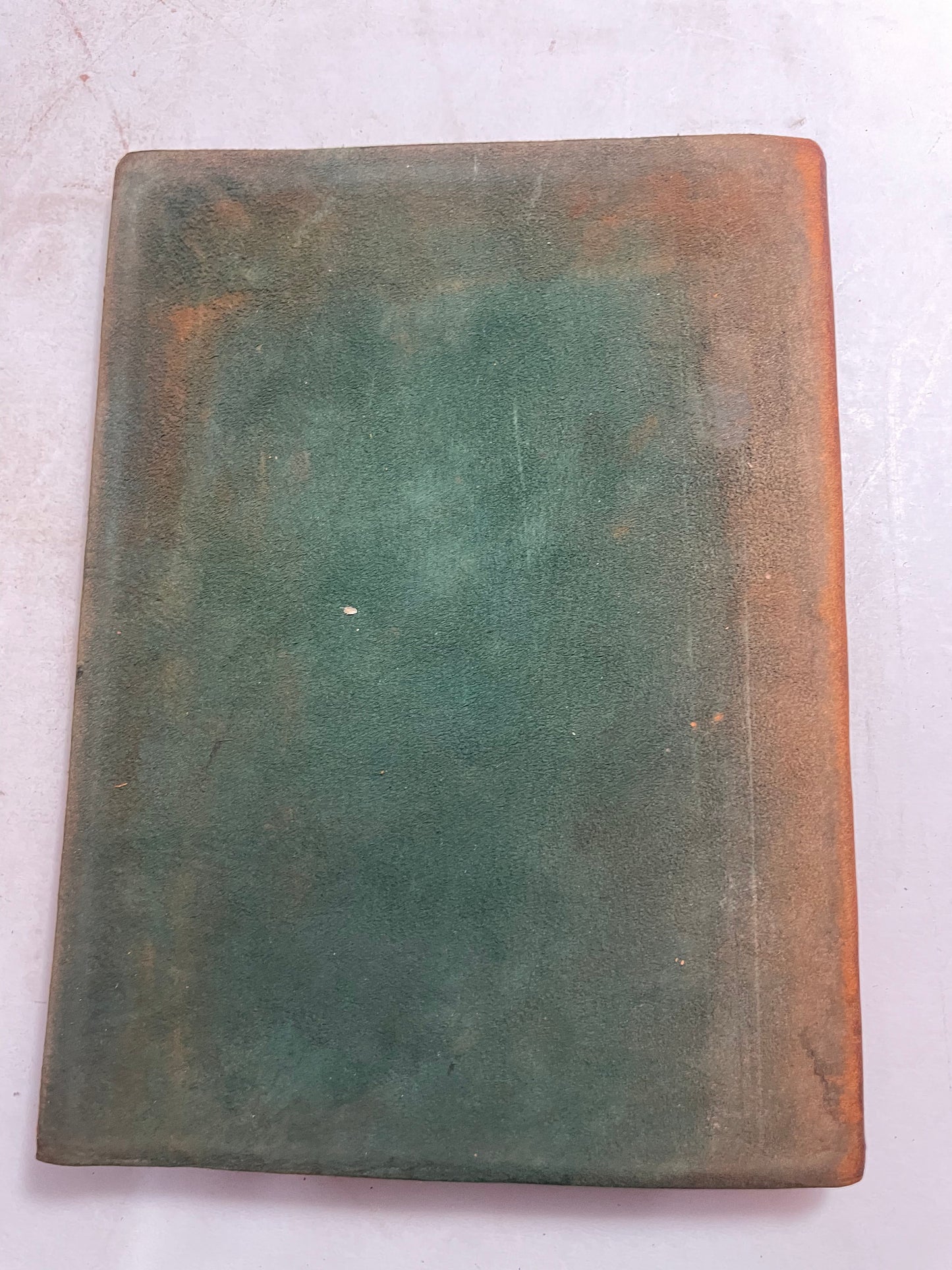 Shadow A Christmas Story by Harry Stillwell Edwards, 1900's Classic, Antique Literature, Rare Edition, Gift for Book Lovers