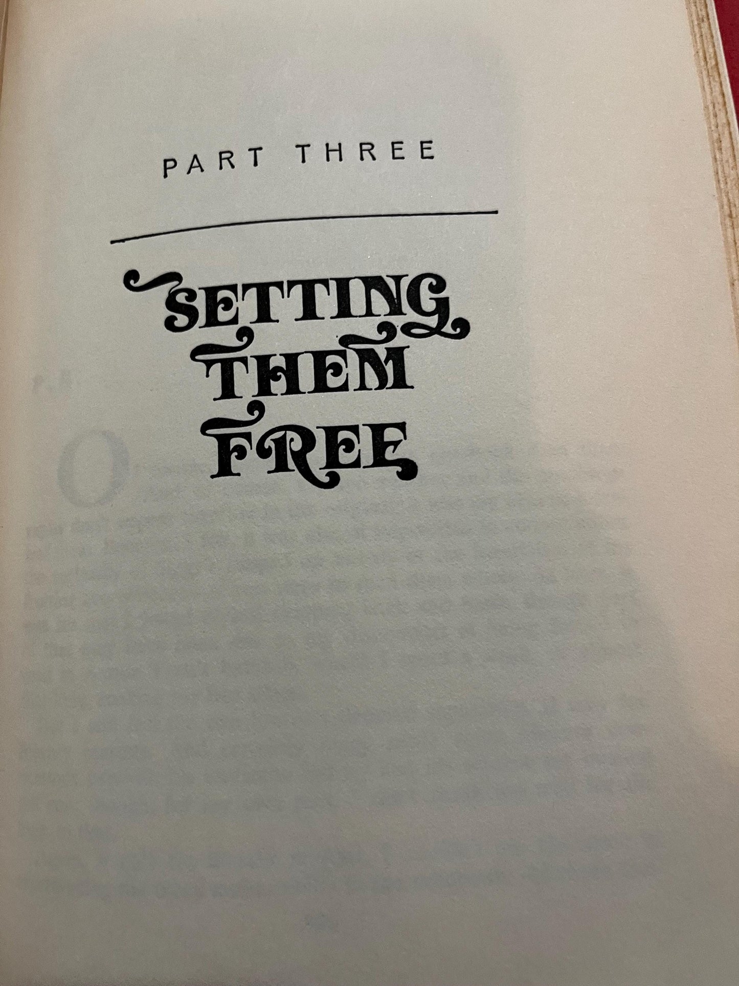 Setting Free the Bears 1968 John Irving Hardcover First Edition, Debut Novel, English Language