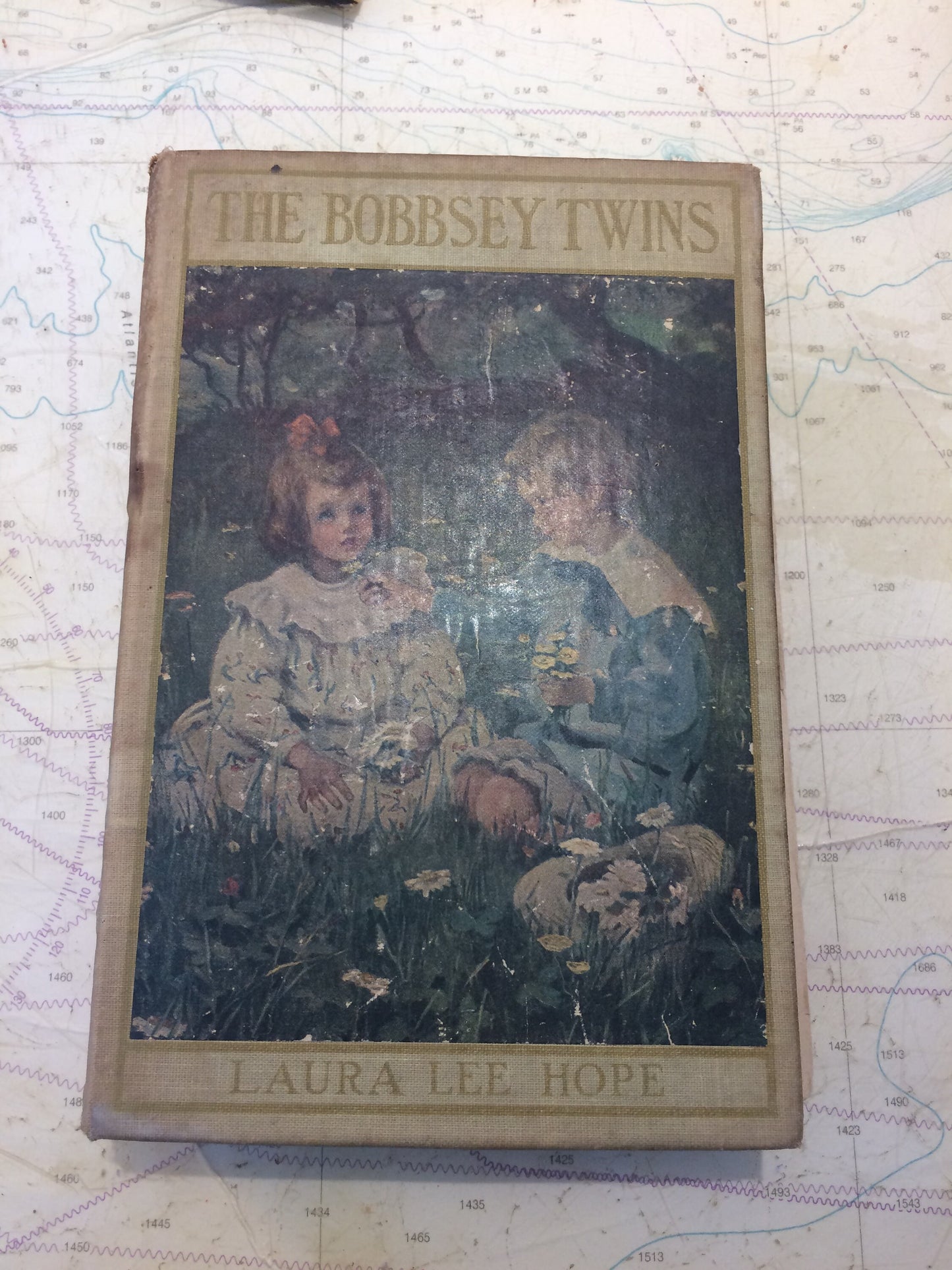 The Bobbsey Twins by Laura Hope