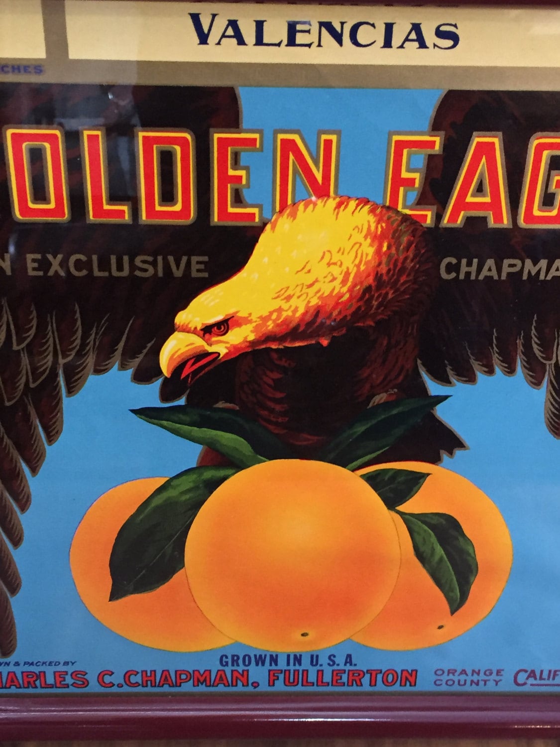 Framed Vintage Cali Fruit Ad "Golden Eagle"