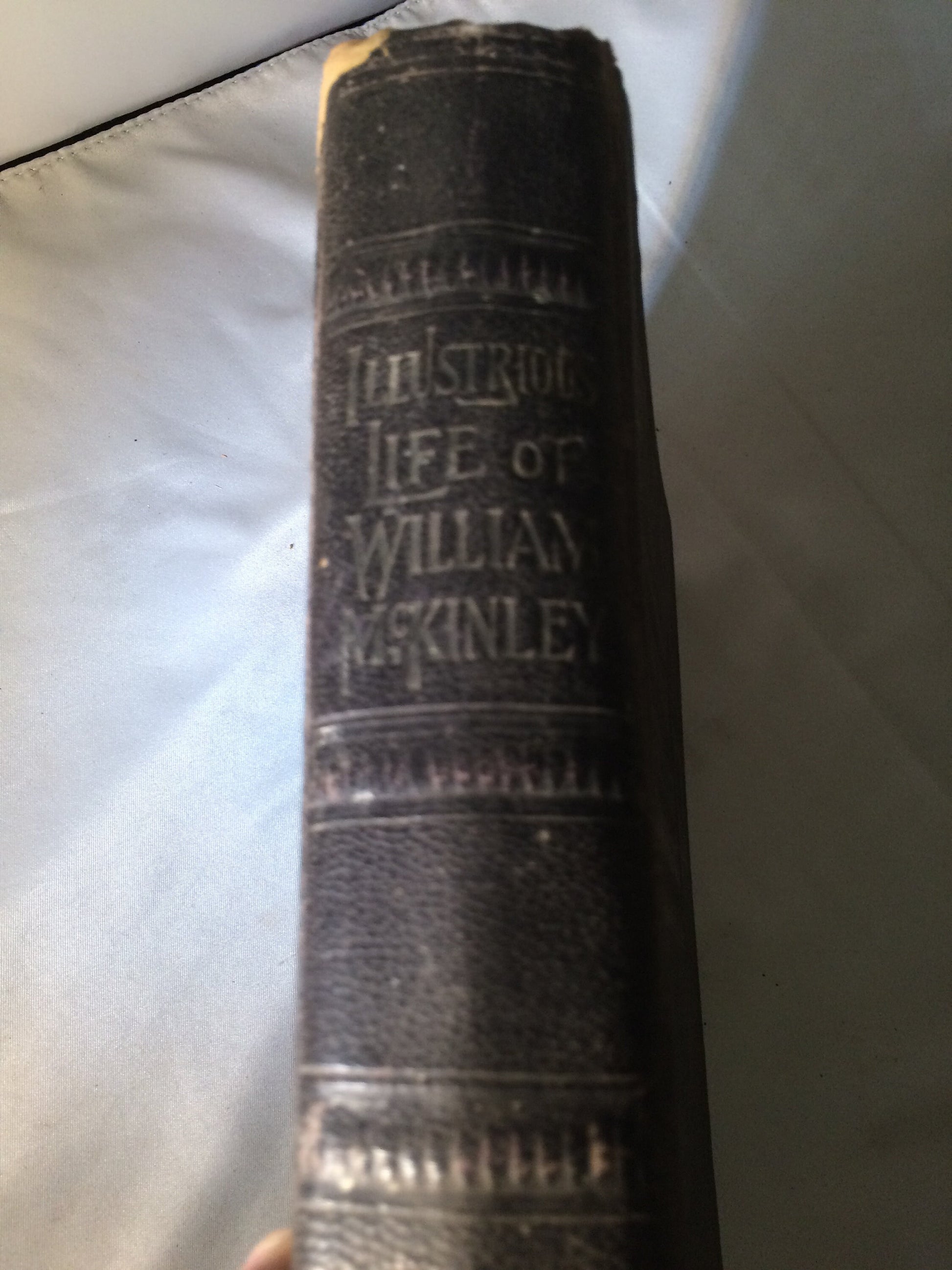 Illustrious Life Of President Mckinley 1901