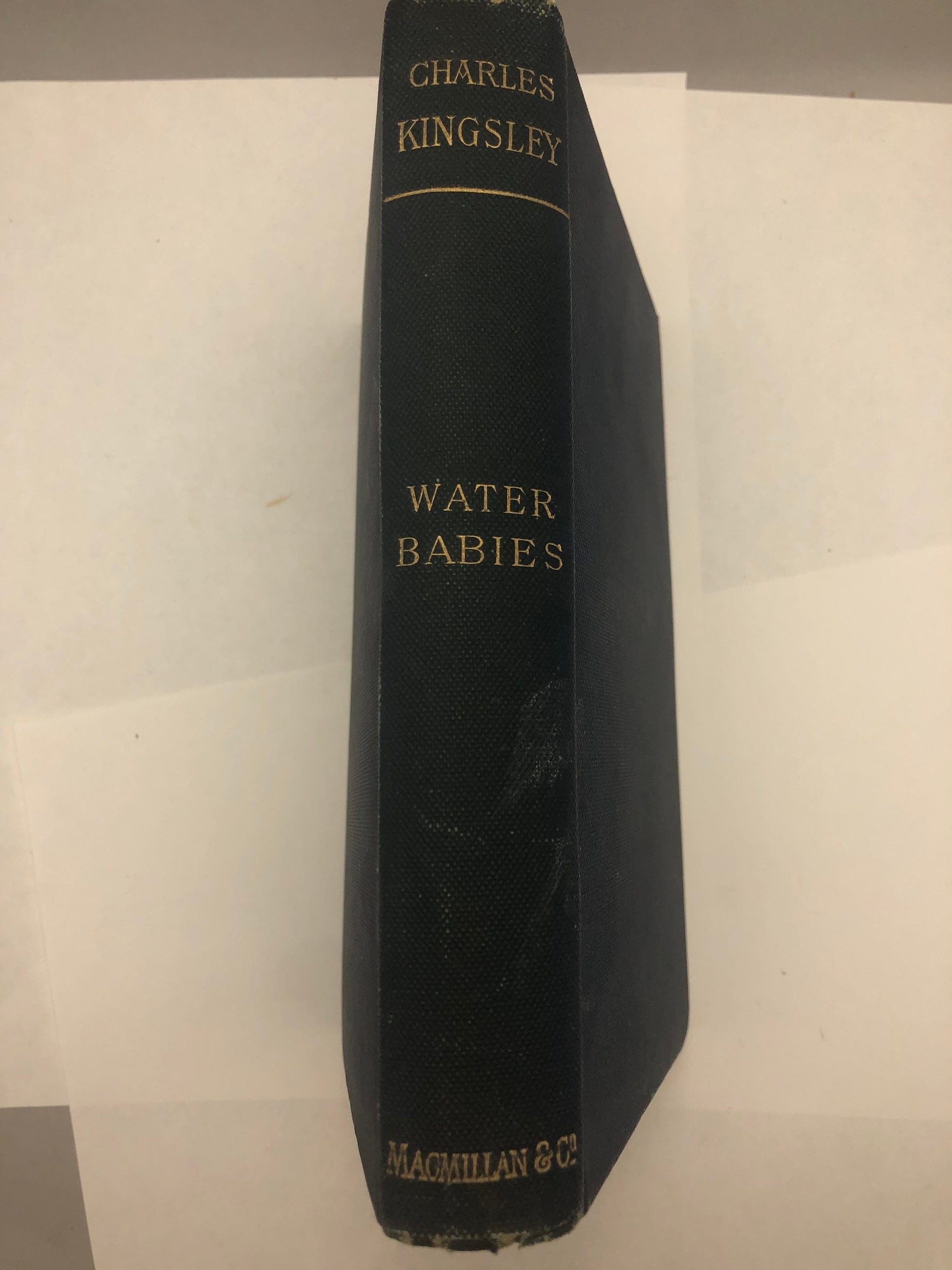 Water Babies by Charles Kingsley volume ix