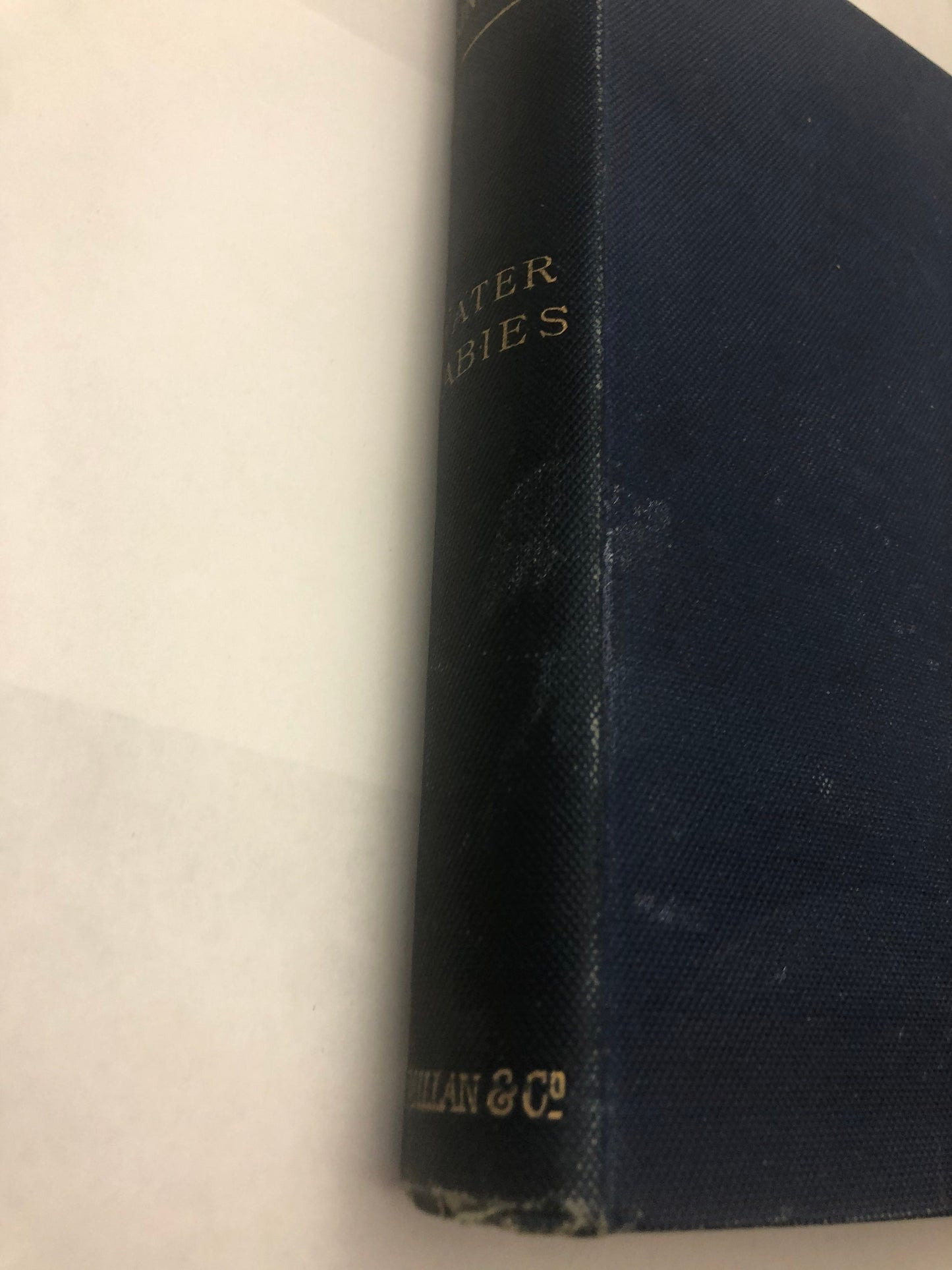 Water Babies by Charles Kingsley volume ix