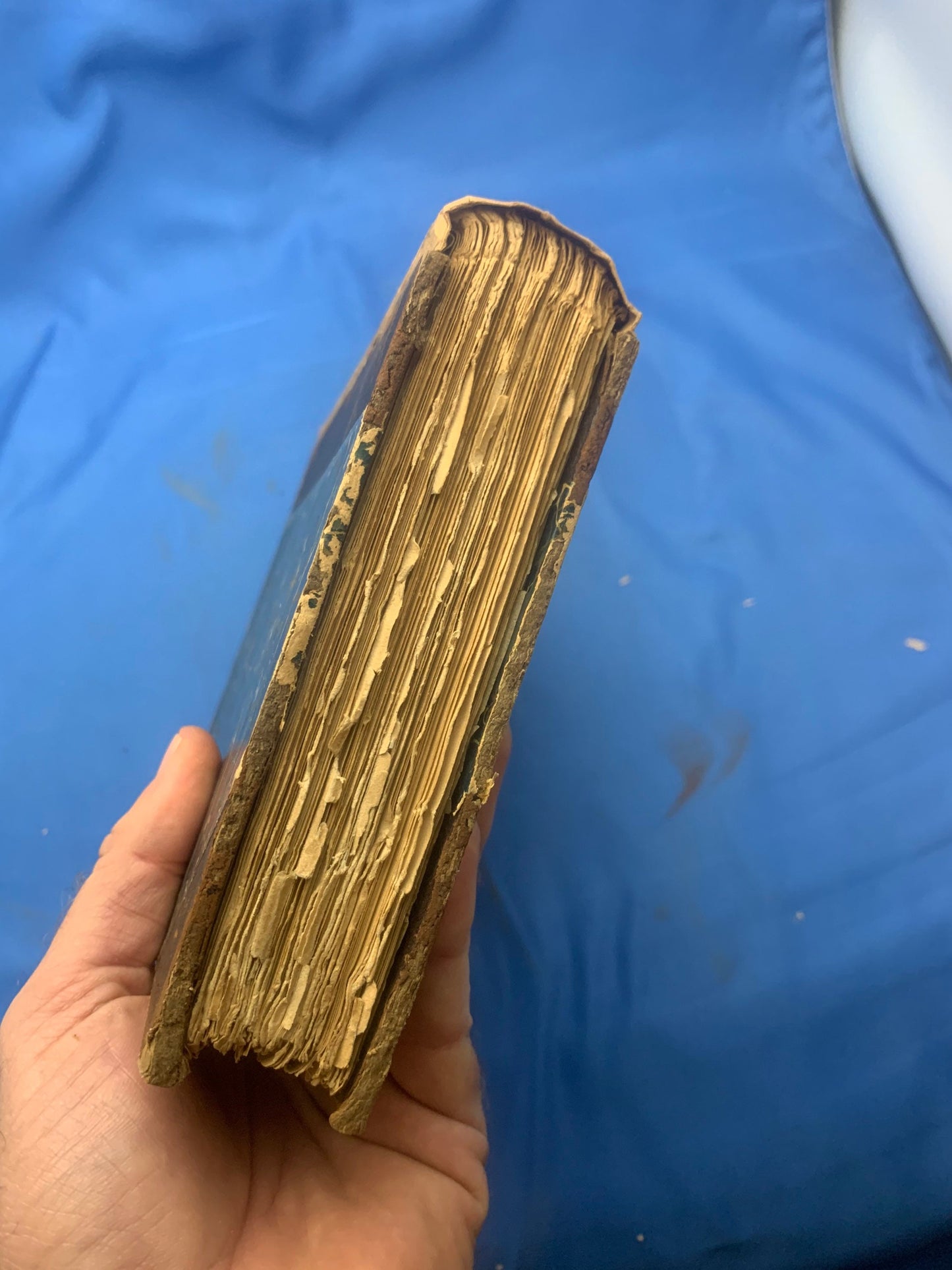 Balzac Touraine Edition 15 Lost Illusions Part 1 - Two Poets Part III: Eve and David. Honore De Balzac Comedie Humaine, copyright 1901