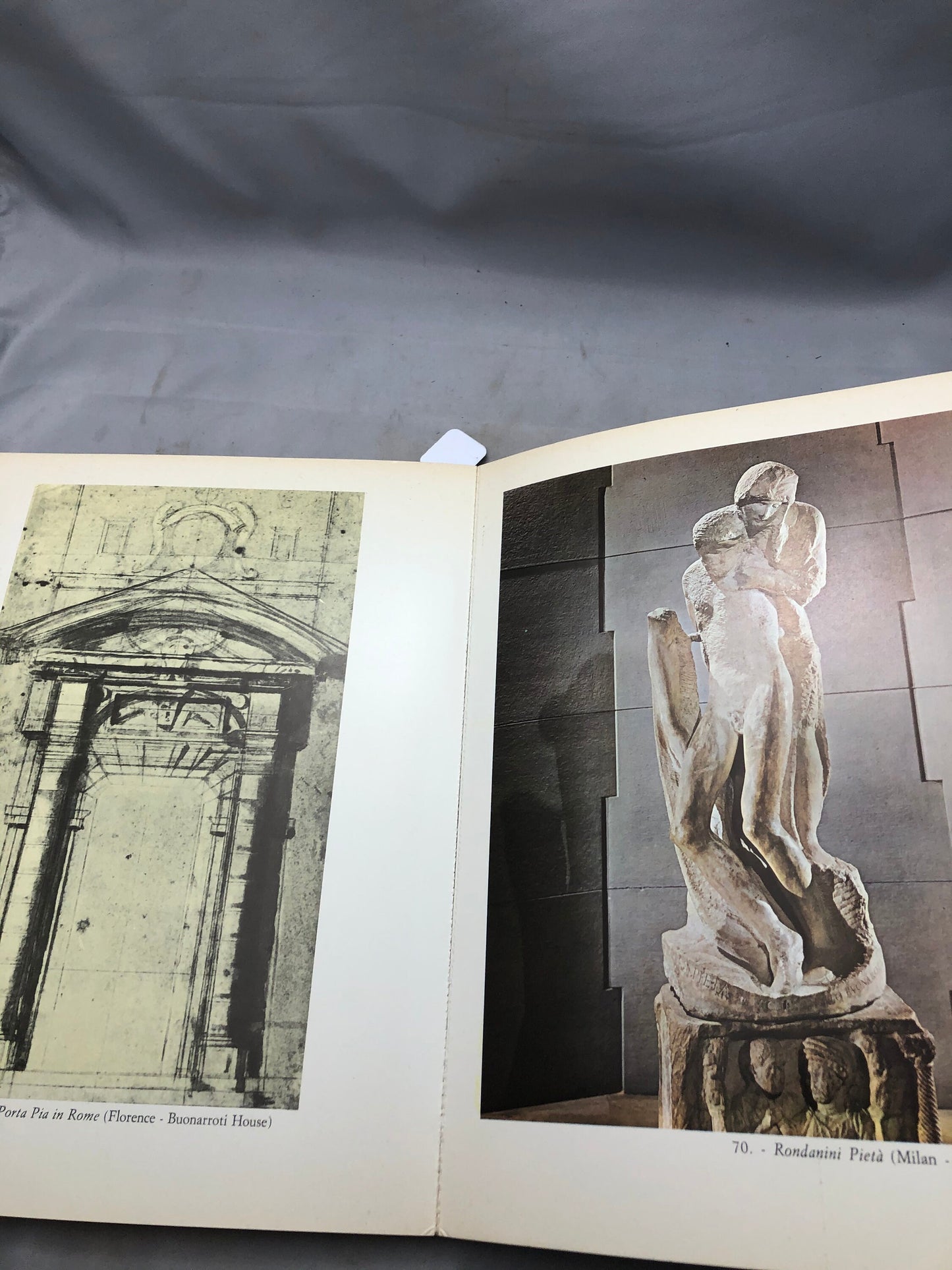 Vintage Luciano Berti - All The Works Of Michelangelo