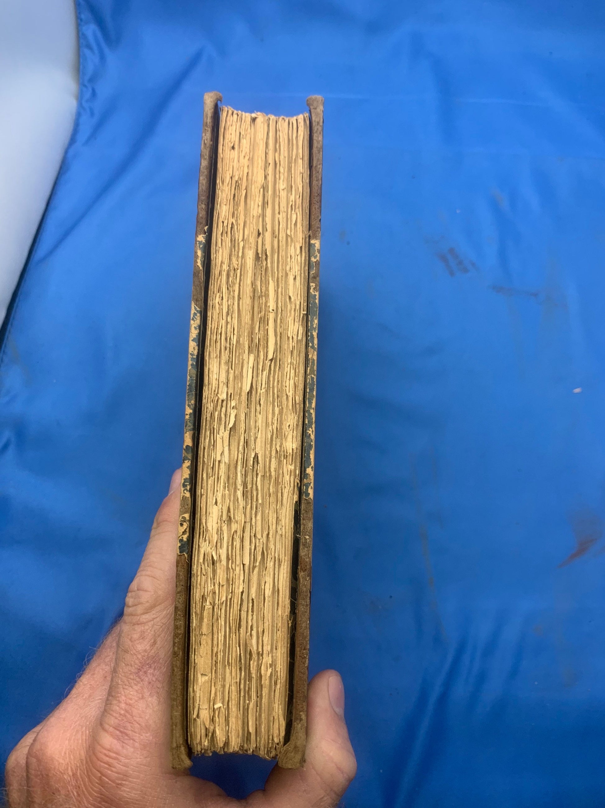 Balzac Touraine Edition 15 Lost Illusions Part 1 - Two Poets Part III: Eve and David. Honore De Balzac Comedie Humaine, copyright 1901