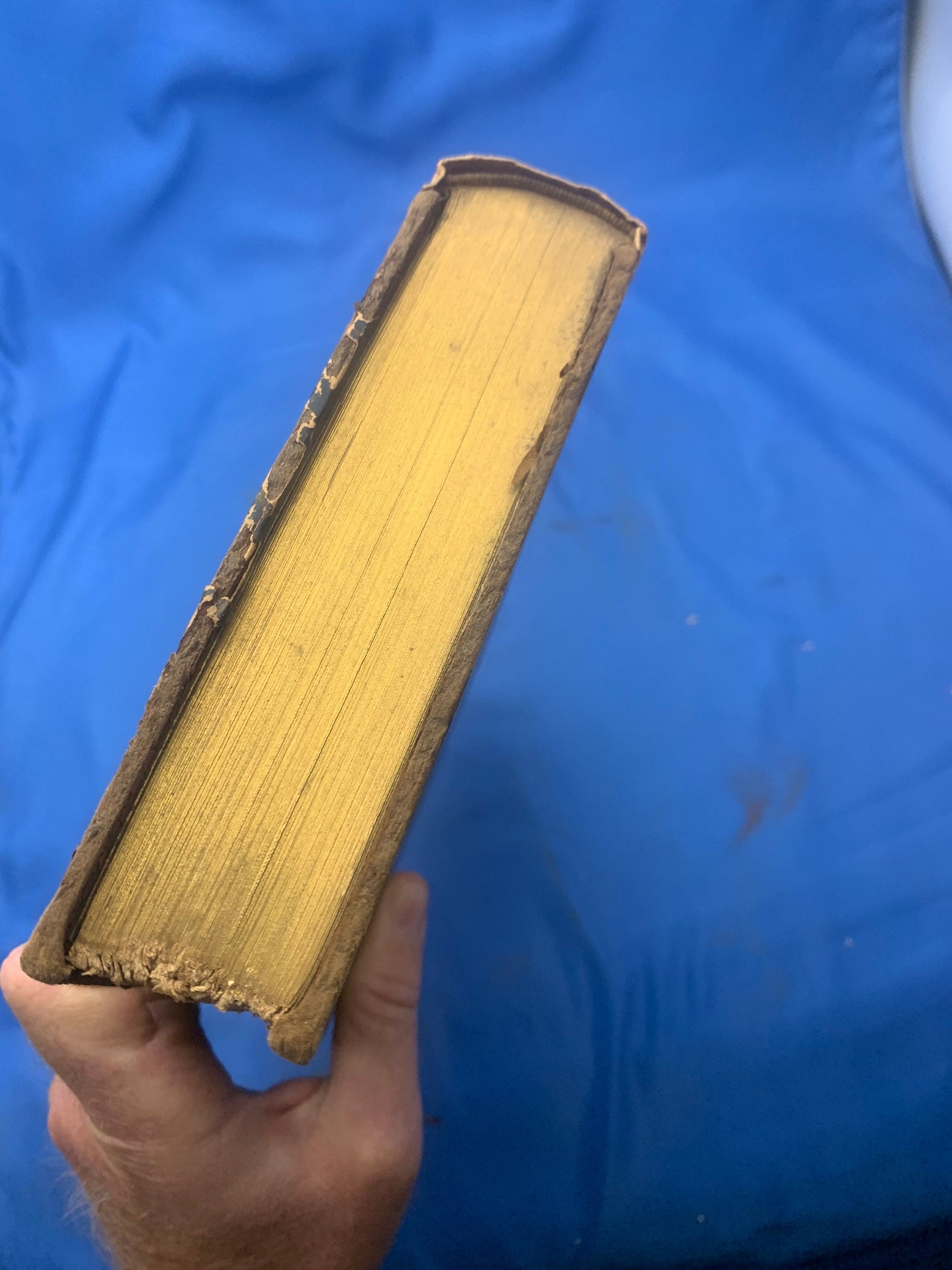 Balzac Touraine Edition 15 Lost Illusions Part 1 - Two Poets Part III: Eve and David. Honore De Balzac Comedie Humaine, copyright 1901