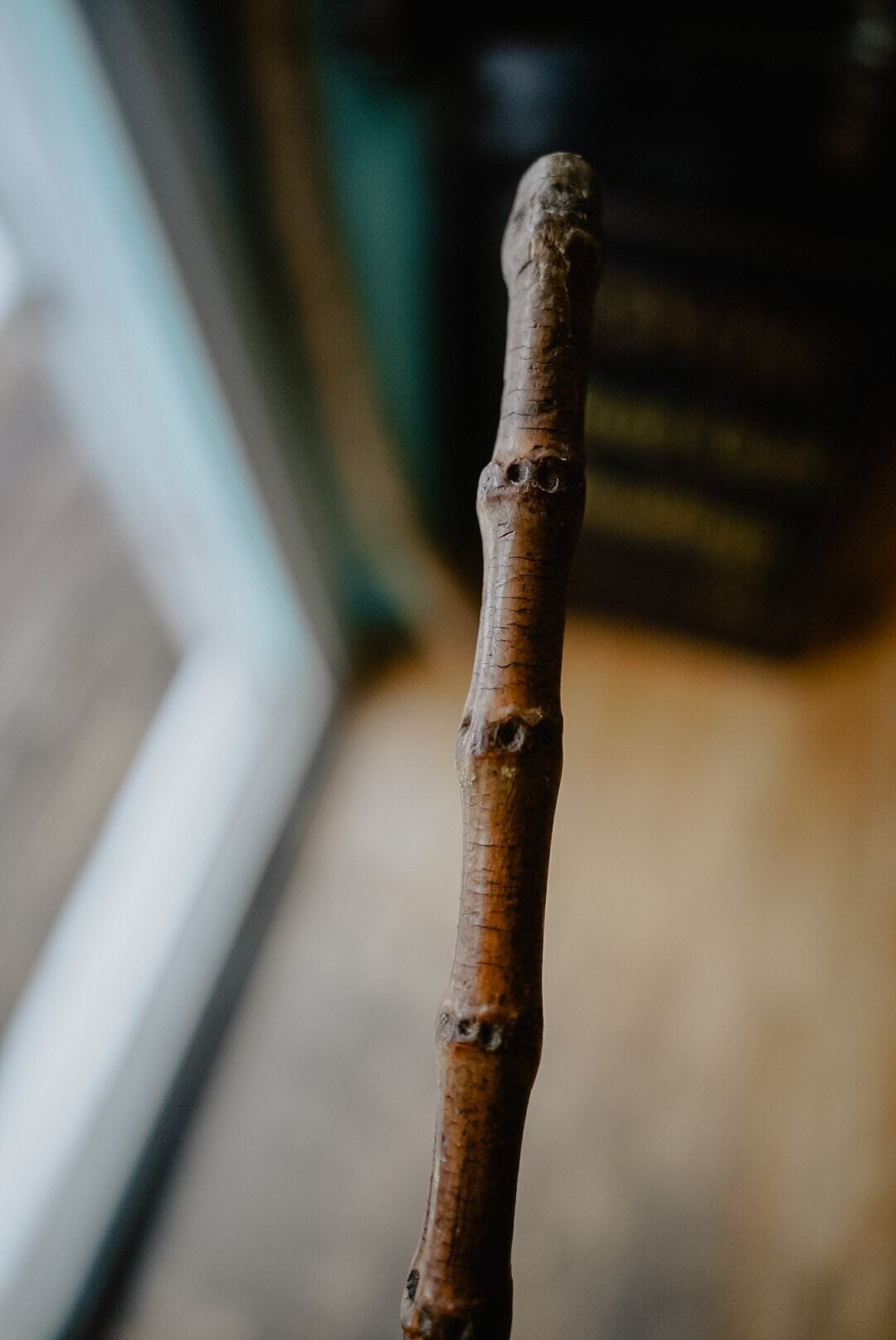 Antique Bamboo Cane