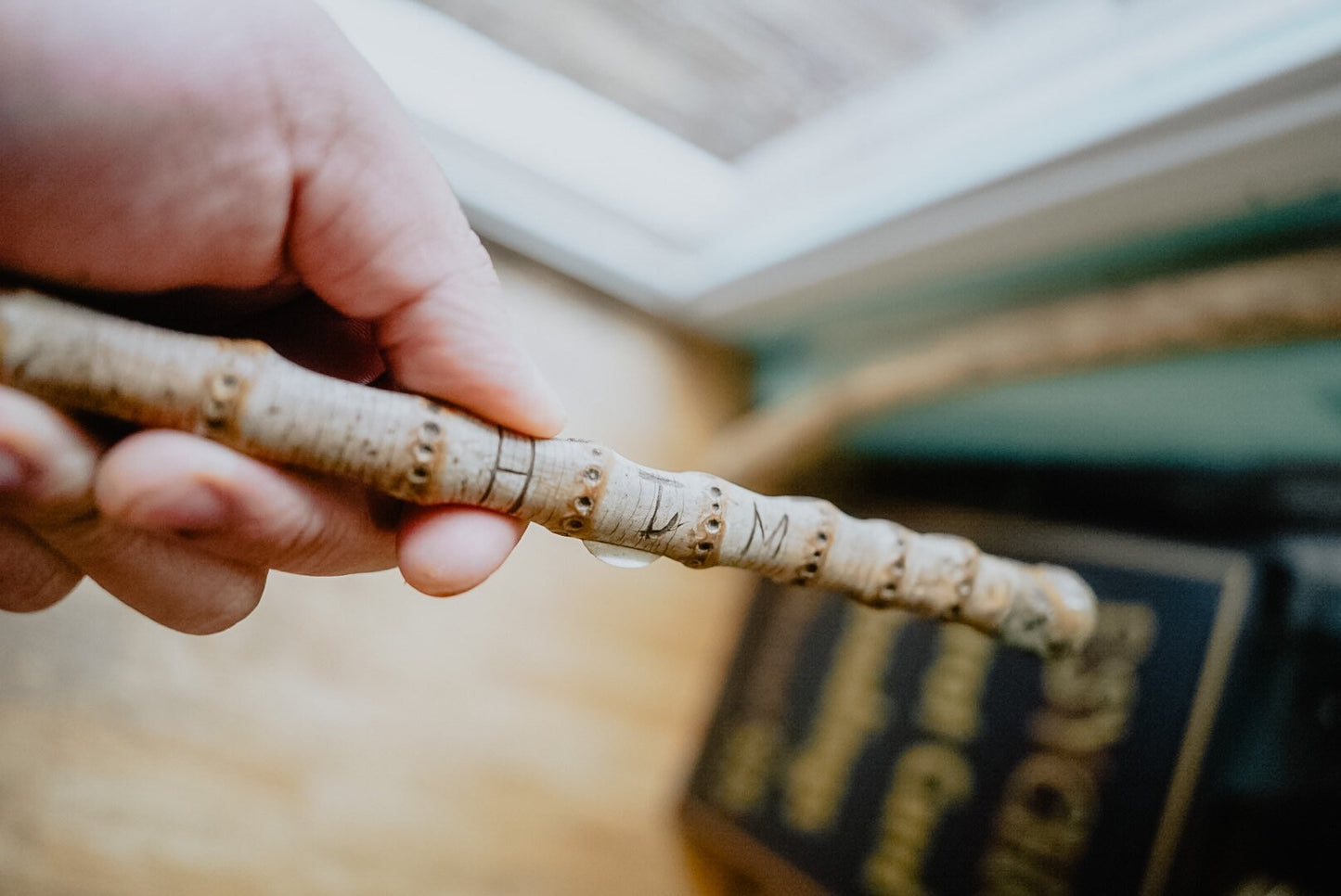 Antique Bamboo Cane