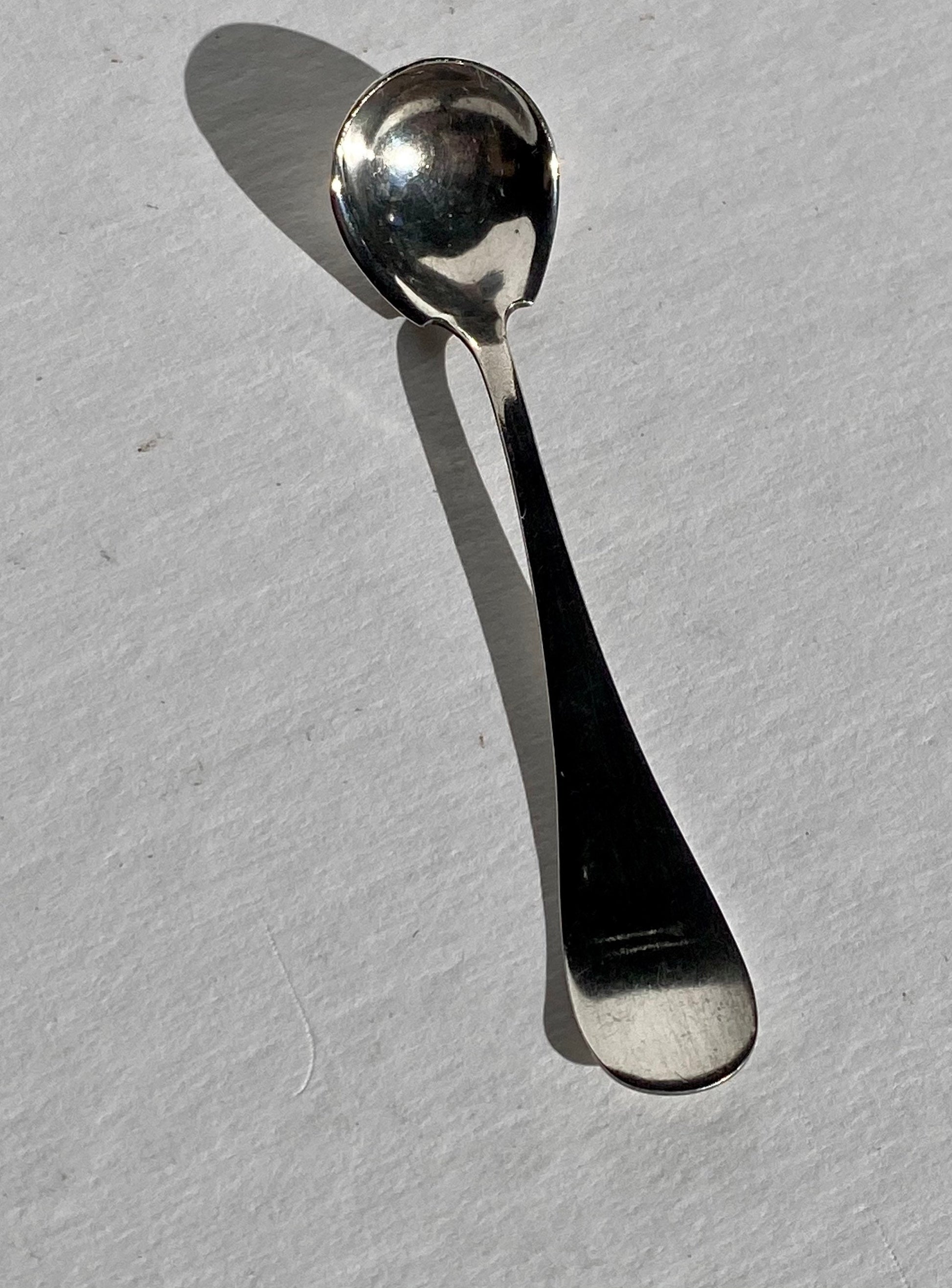 Vintage W.M. Rogers Silver-Plated Salt Spoon | Home and Living