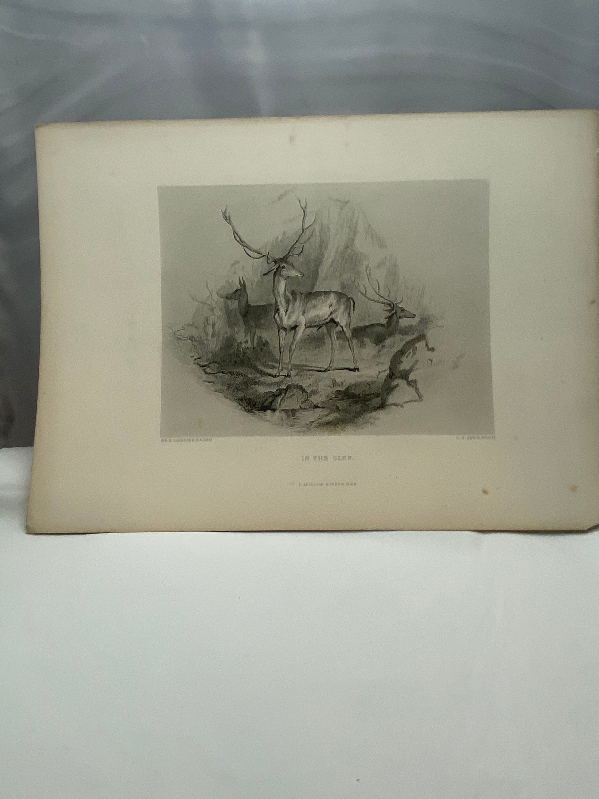 Antique "In the Glen" by Sir Edwin Landseer engraving