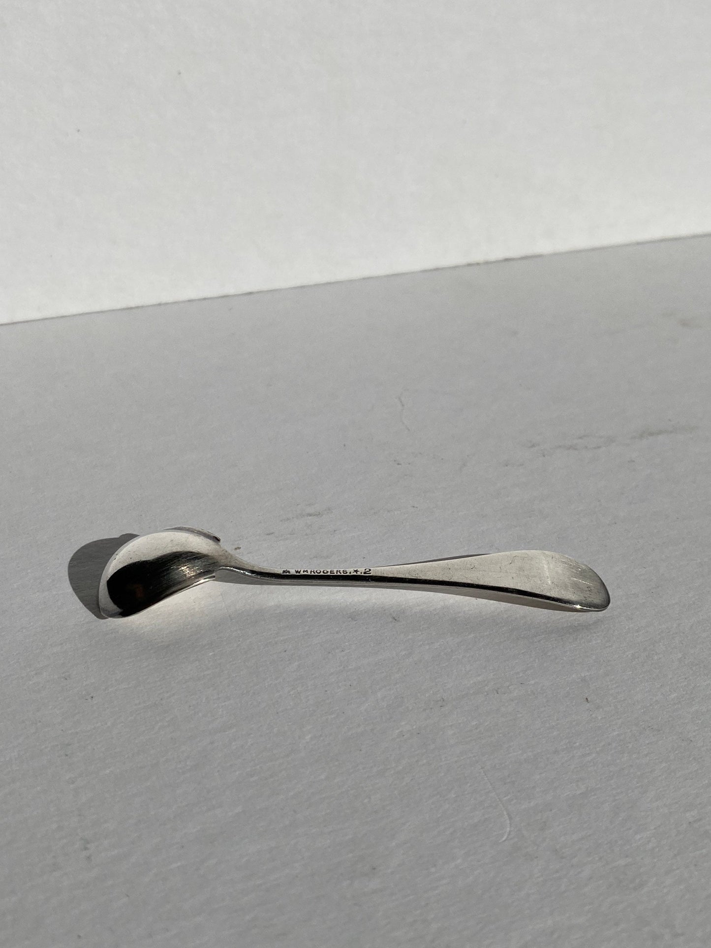 Vintage W.M. Rogers Silver-Plated Salt Spoon | Home and Living