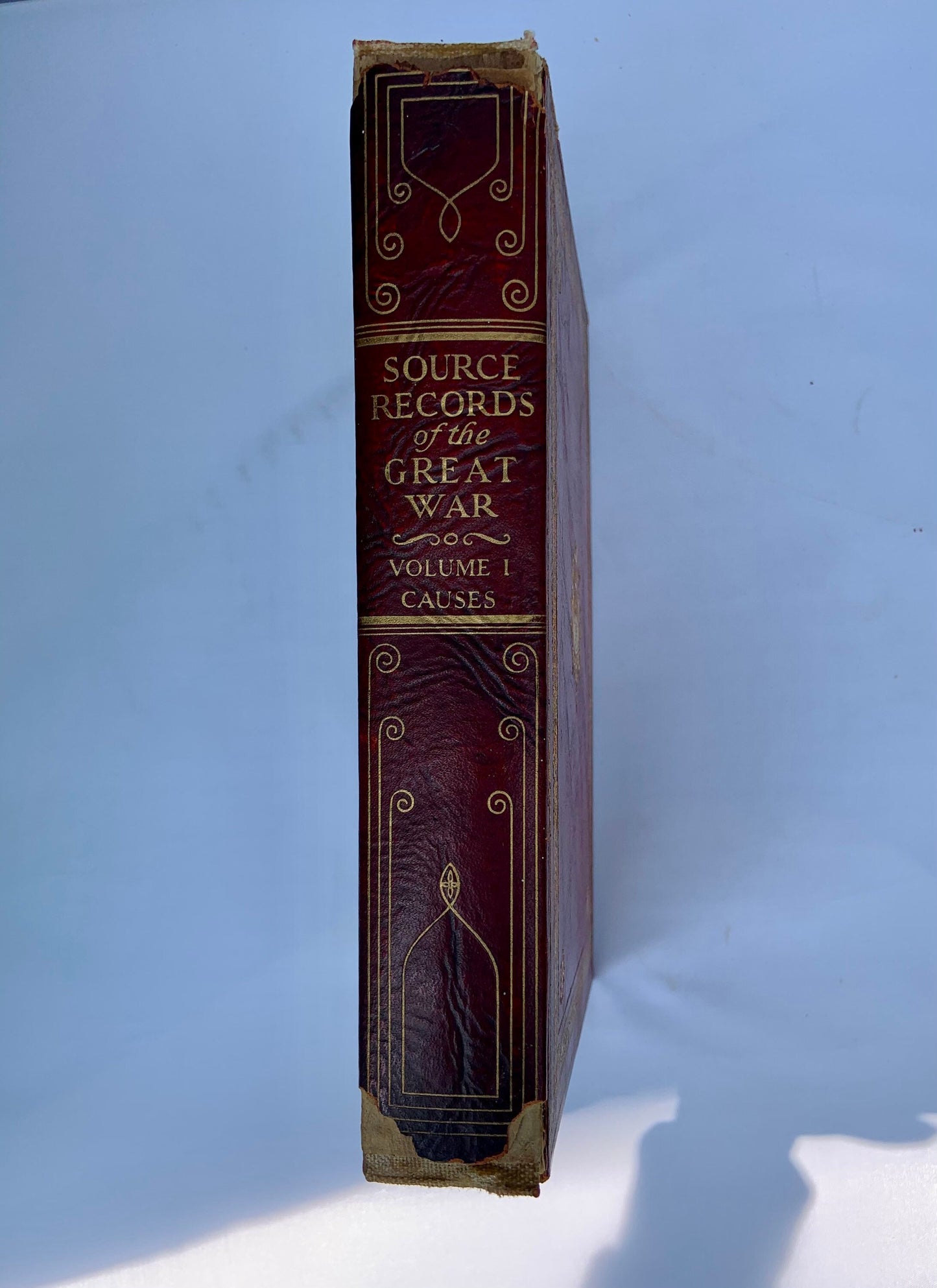 Source Records of The Great War Volume I Antique