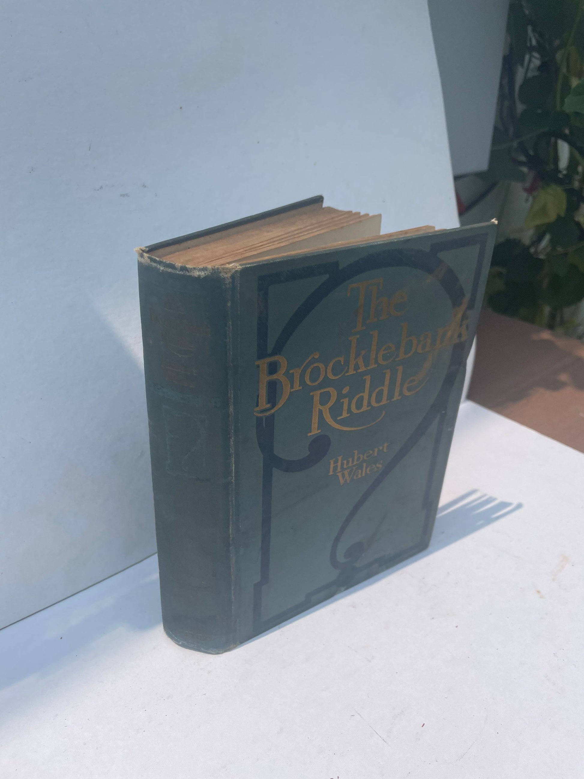 The Brooklebank Riddle | Book