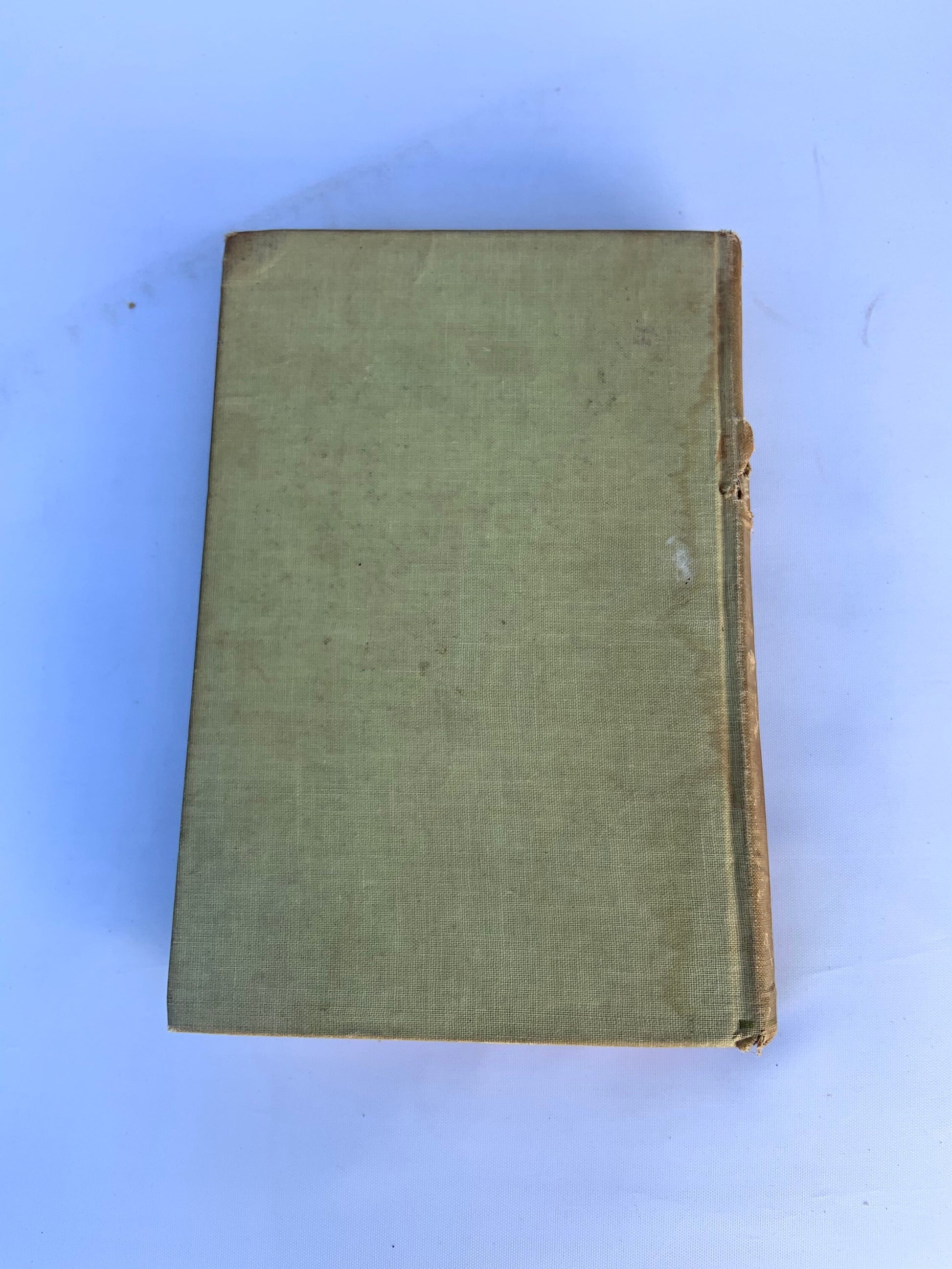 Antique The Bobbsey Twins book by Laura Lee Hope