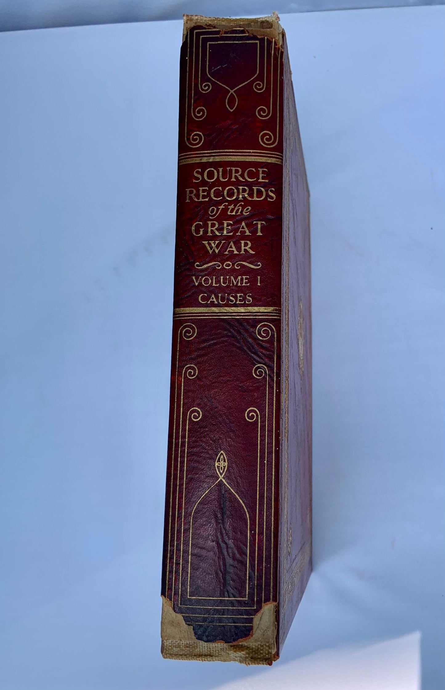 Source Records of The Great War Volume I Antique