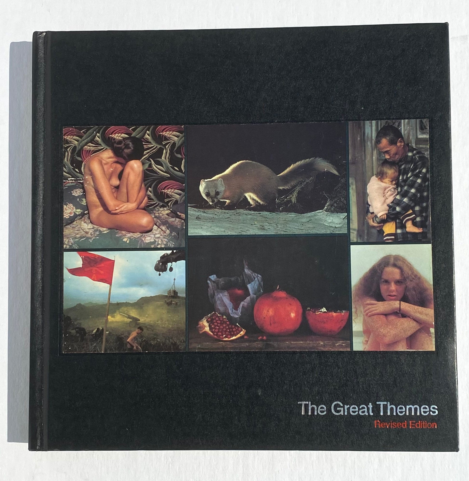 TIME Life Library of Photography: The Great Themes Book