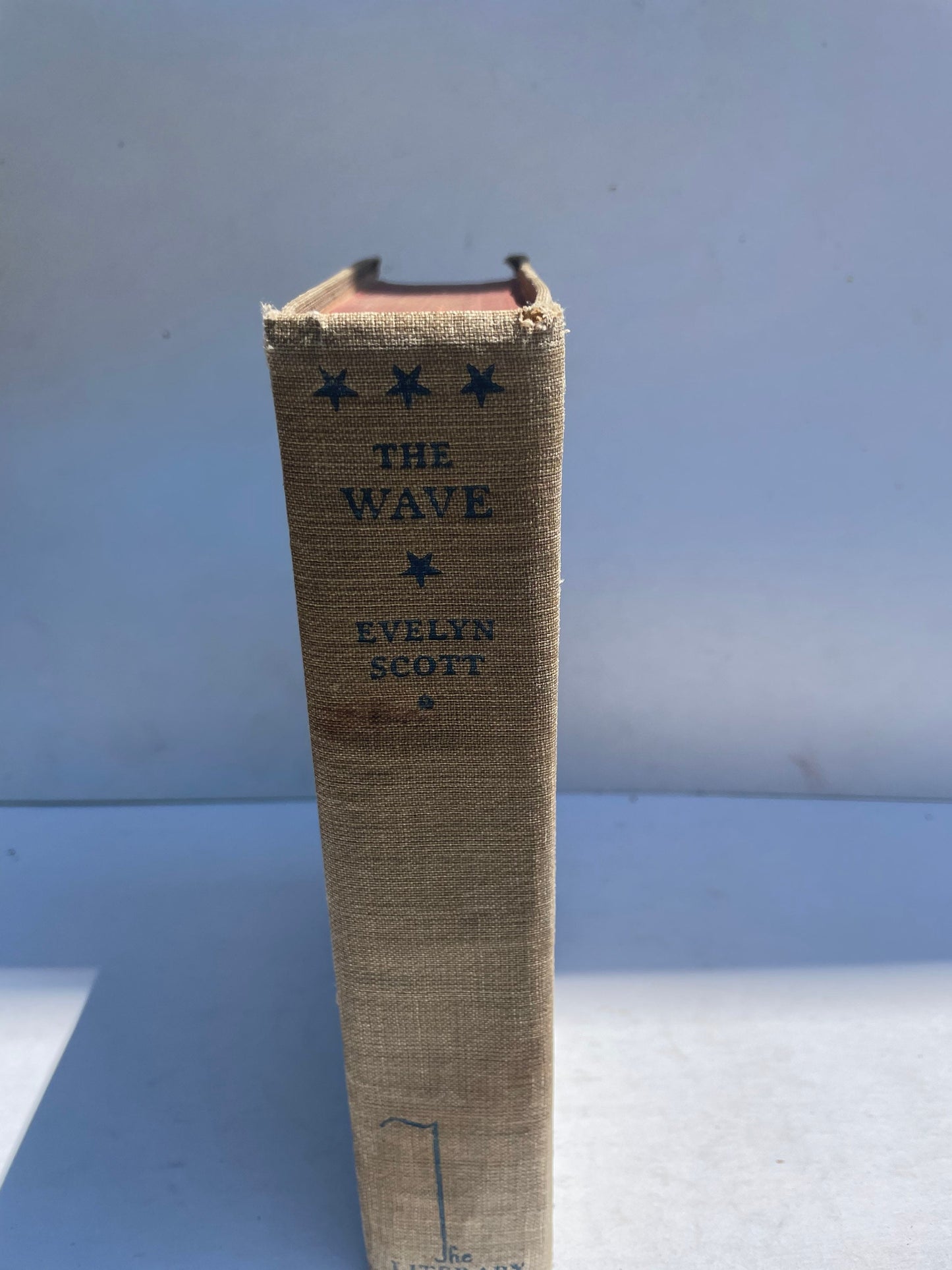 Vintage 1920s copy of The Wave - By Evelyn Scott