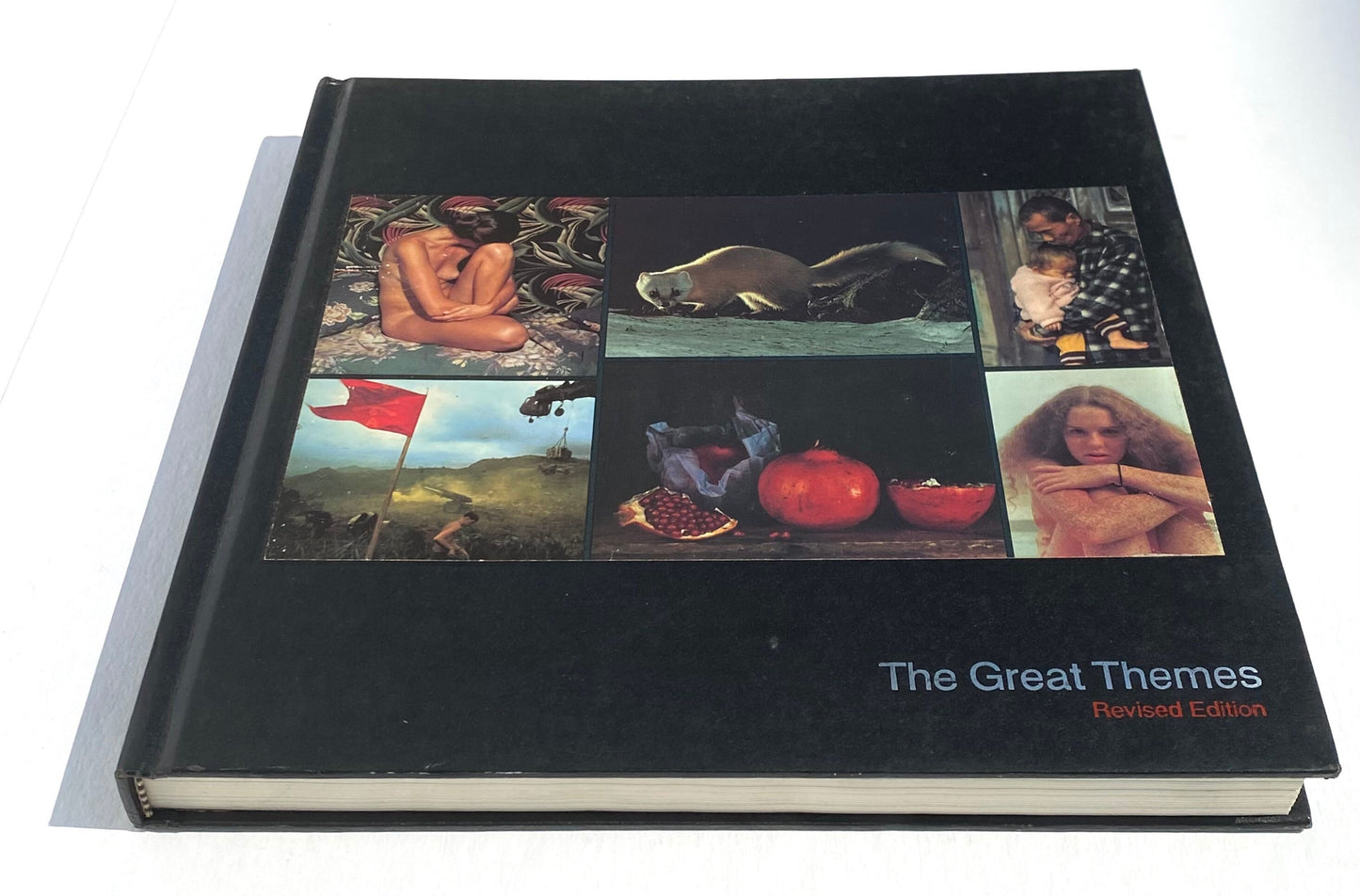 TIME Life Library of Photography: The Great Themes Book