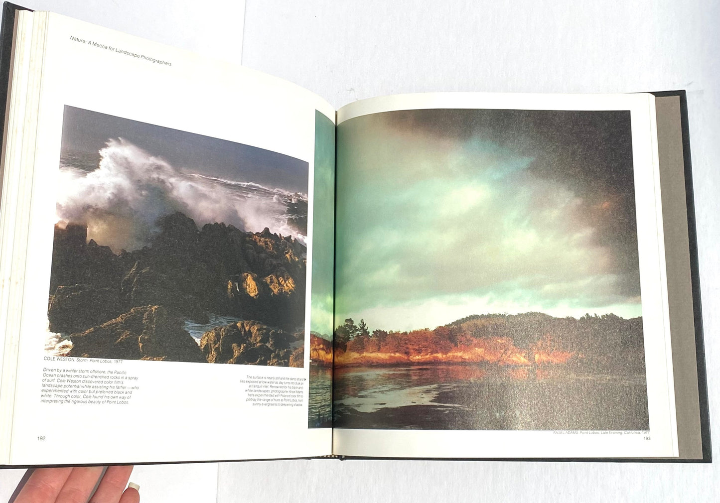 TIME Life Library of Photography: The Great Themes Book