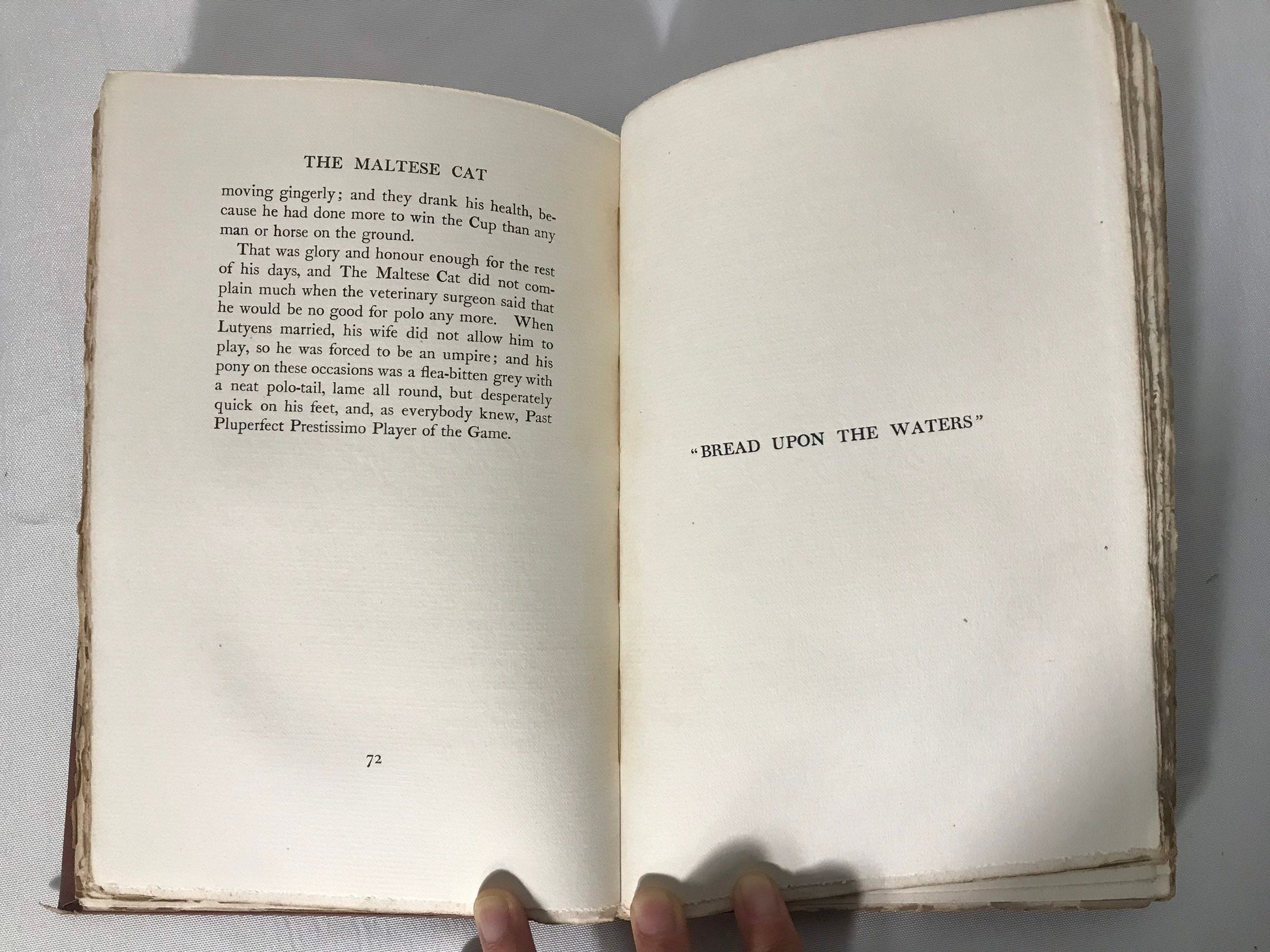 Vintage The Days Work Part 2 | The Works of Rudyard Kipling XIV | Literature & Fiction