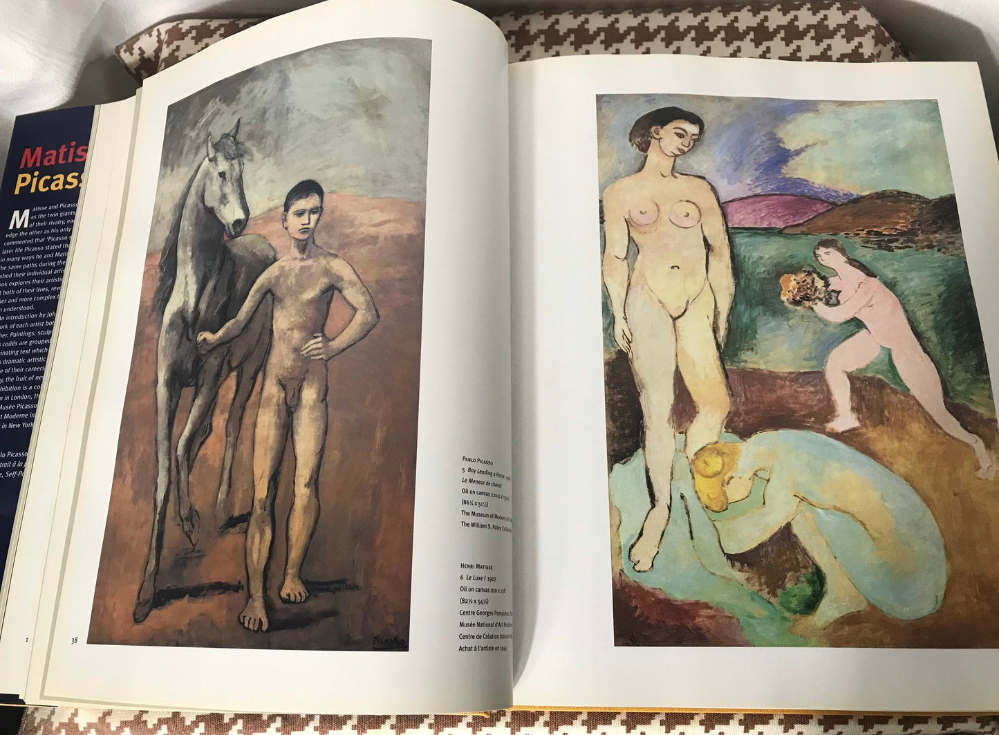 Matisse Picasso The Museum of Modern Art | Art Book