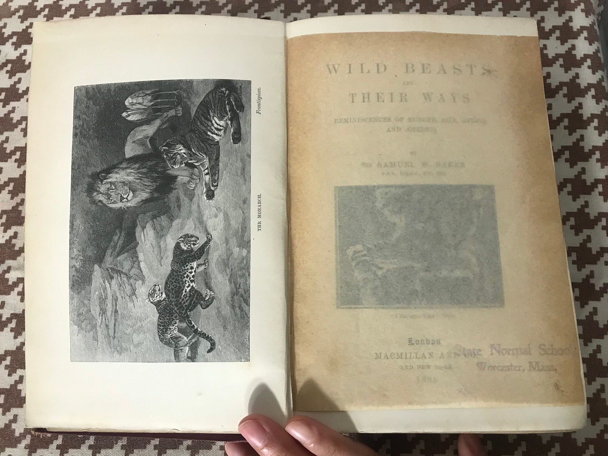 Wild Beasts And Their Ways by Sir Samuel W Baker| Literature