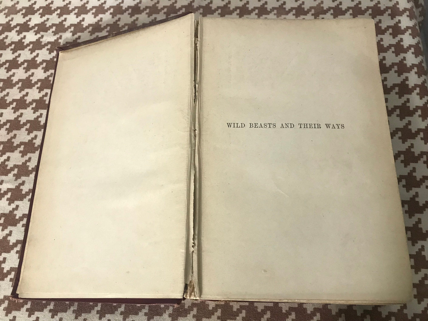 Wild Beasts And Their Ways by Sir Samuel W Baker| Literature