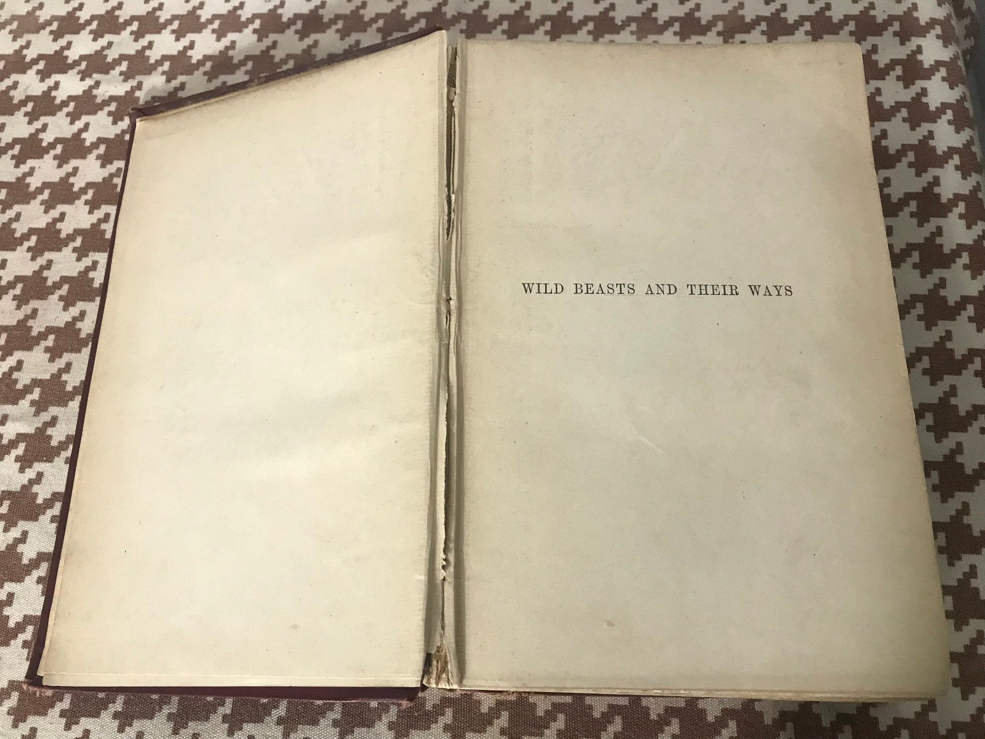 Wild Beasts And Their Ways by Sir Samuel W Baker| Literature