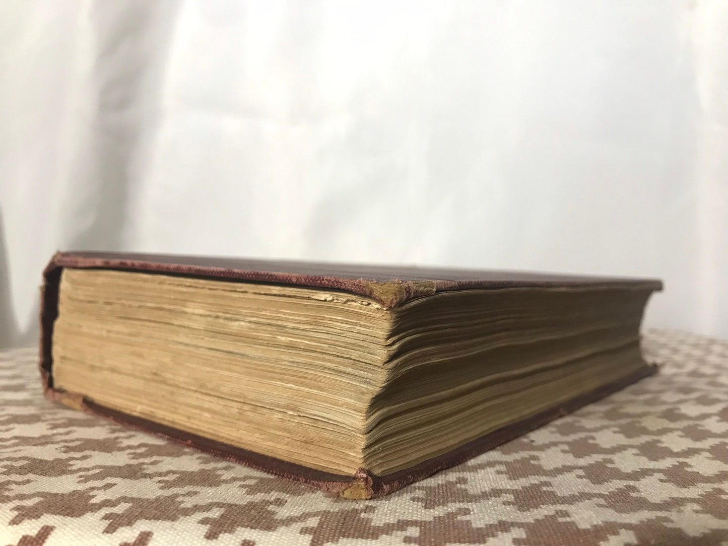 Wild Beasts And Their Ways by Sir Samuel W Baker| Literature