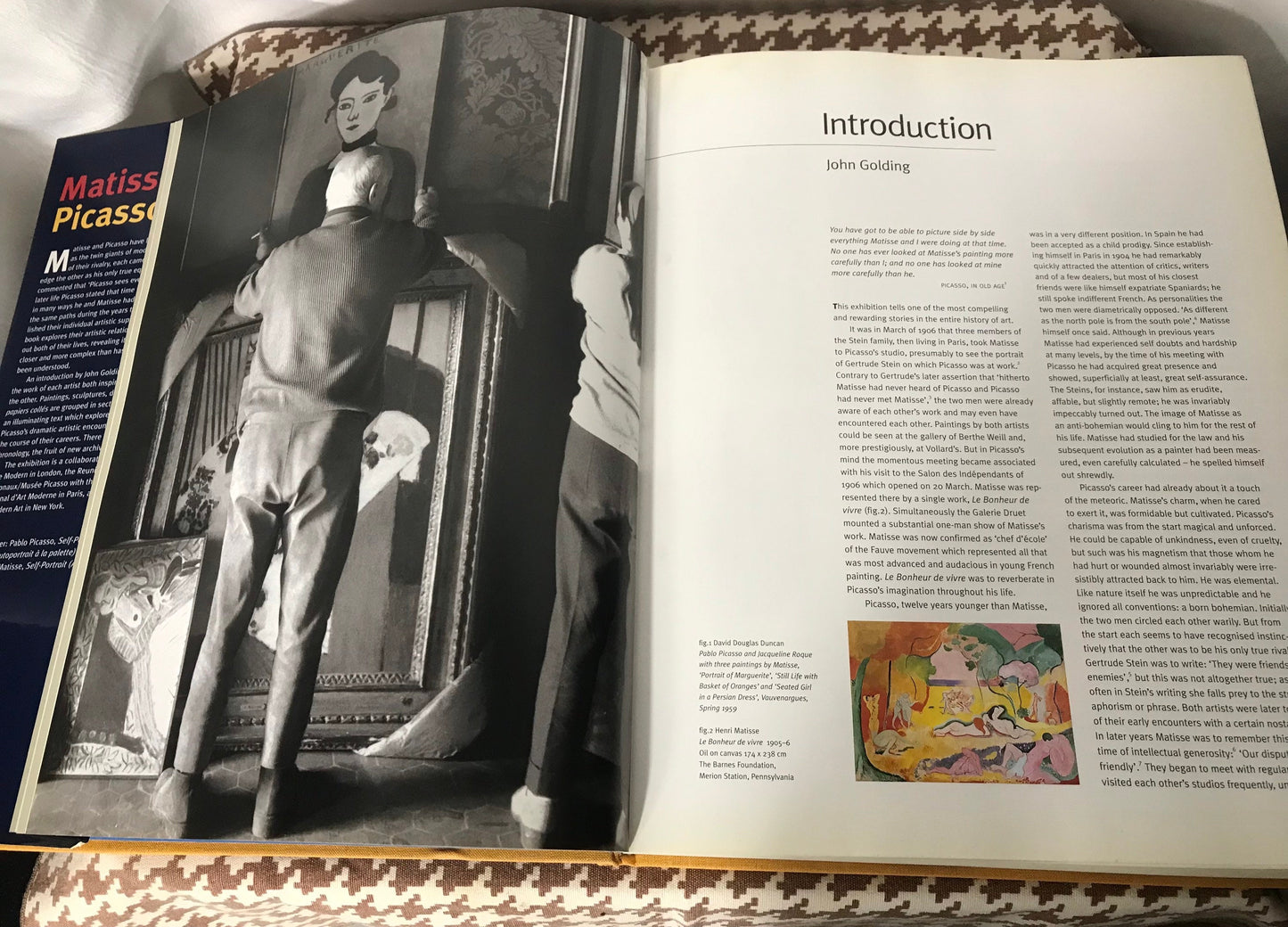 Matisse Picasso The Museum of Modern Art | Art Book