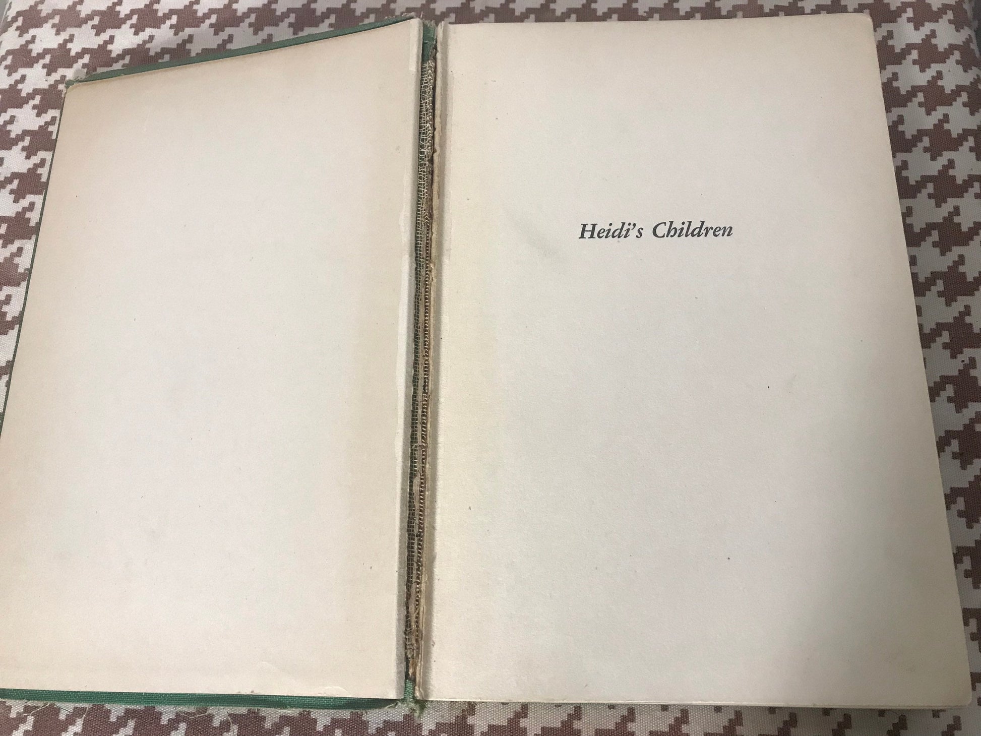 Heidi’s Children by Charles Tritten | Literature