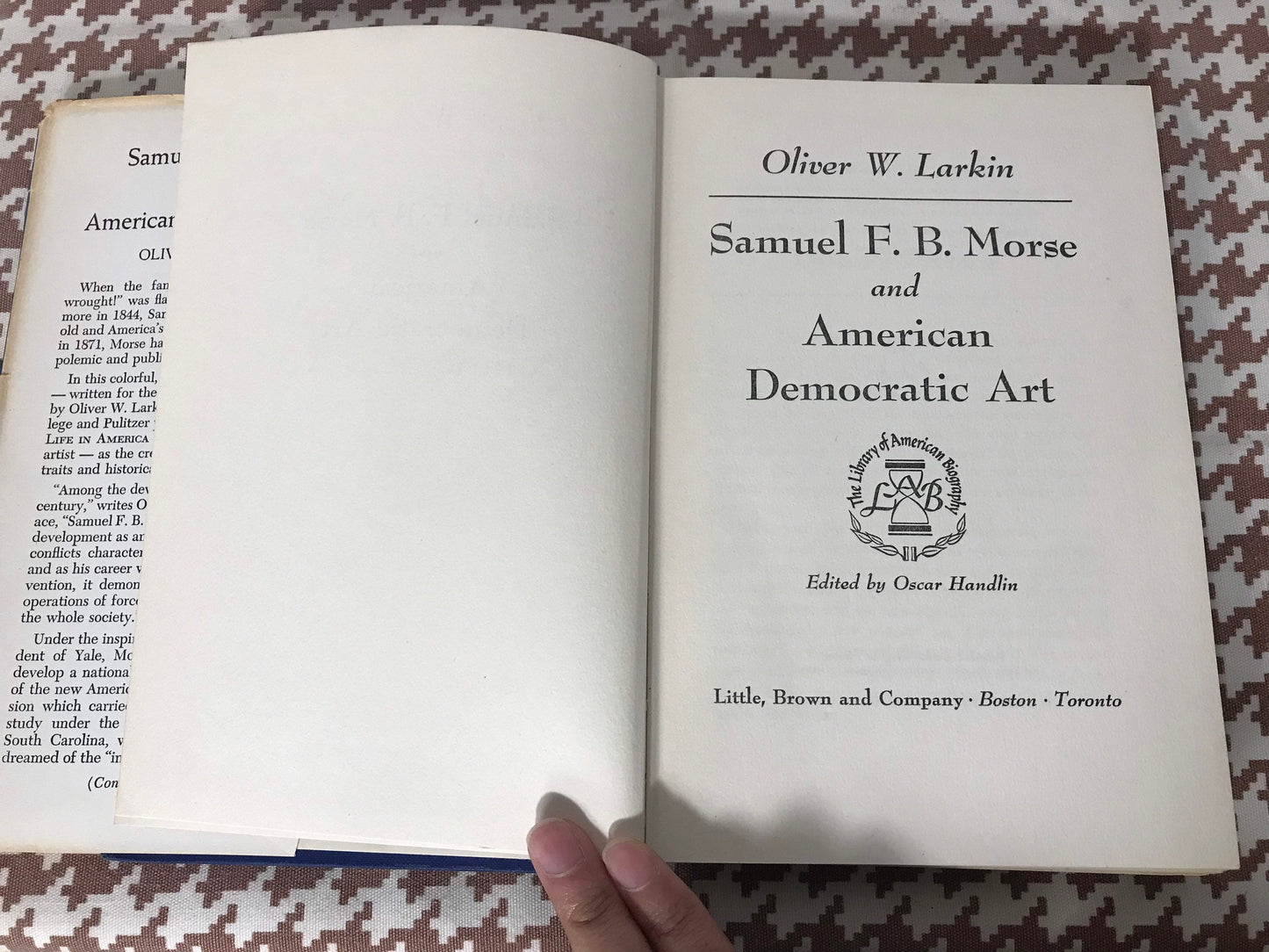 Samuel F.B Morse and American Democratic Art by Oliver W Larkin | Literature & Fiction