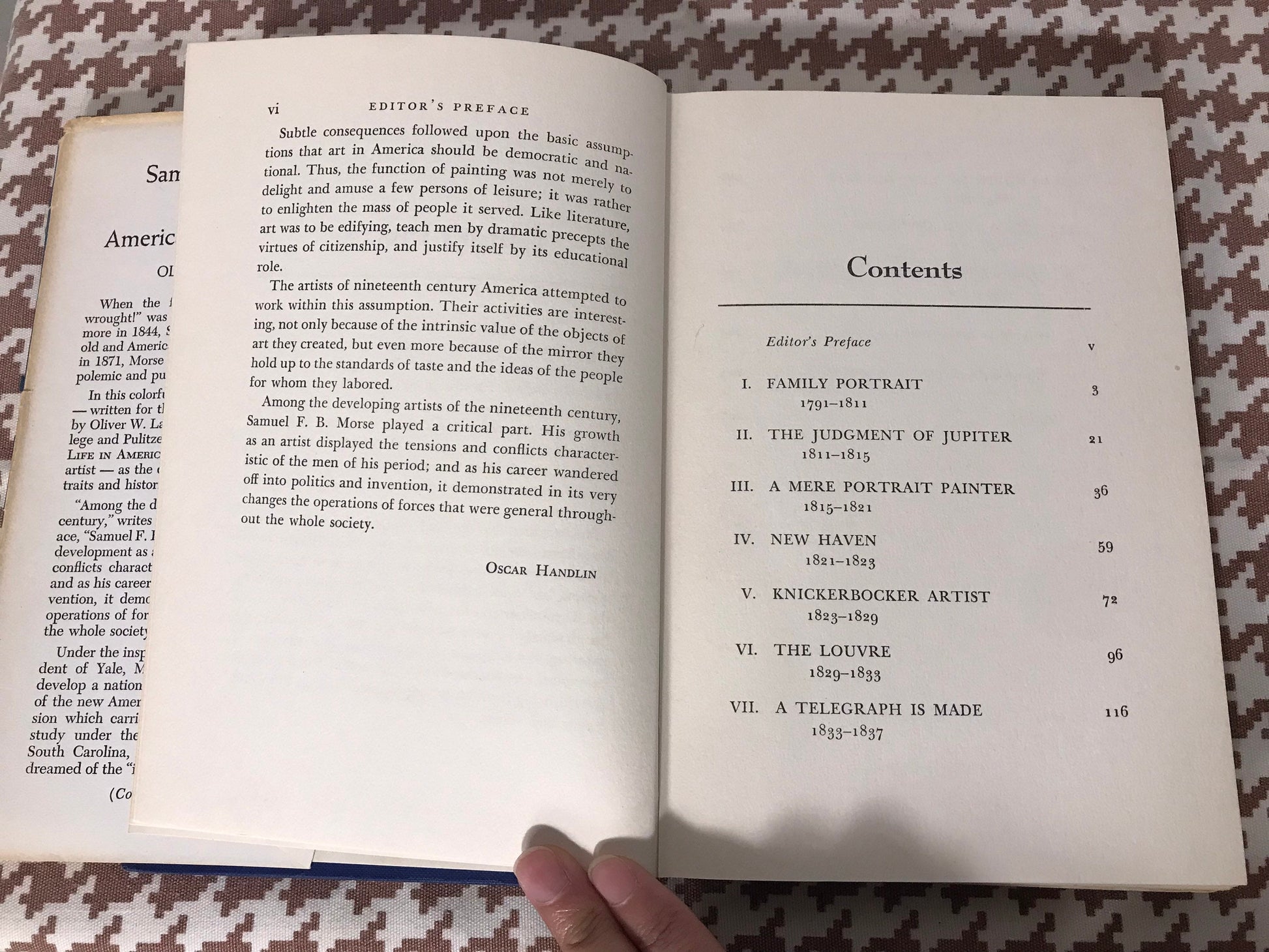 Samuel F.B Morse and American Democratic Art by Oliver W Larkin | Literature & Fiction