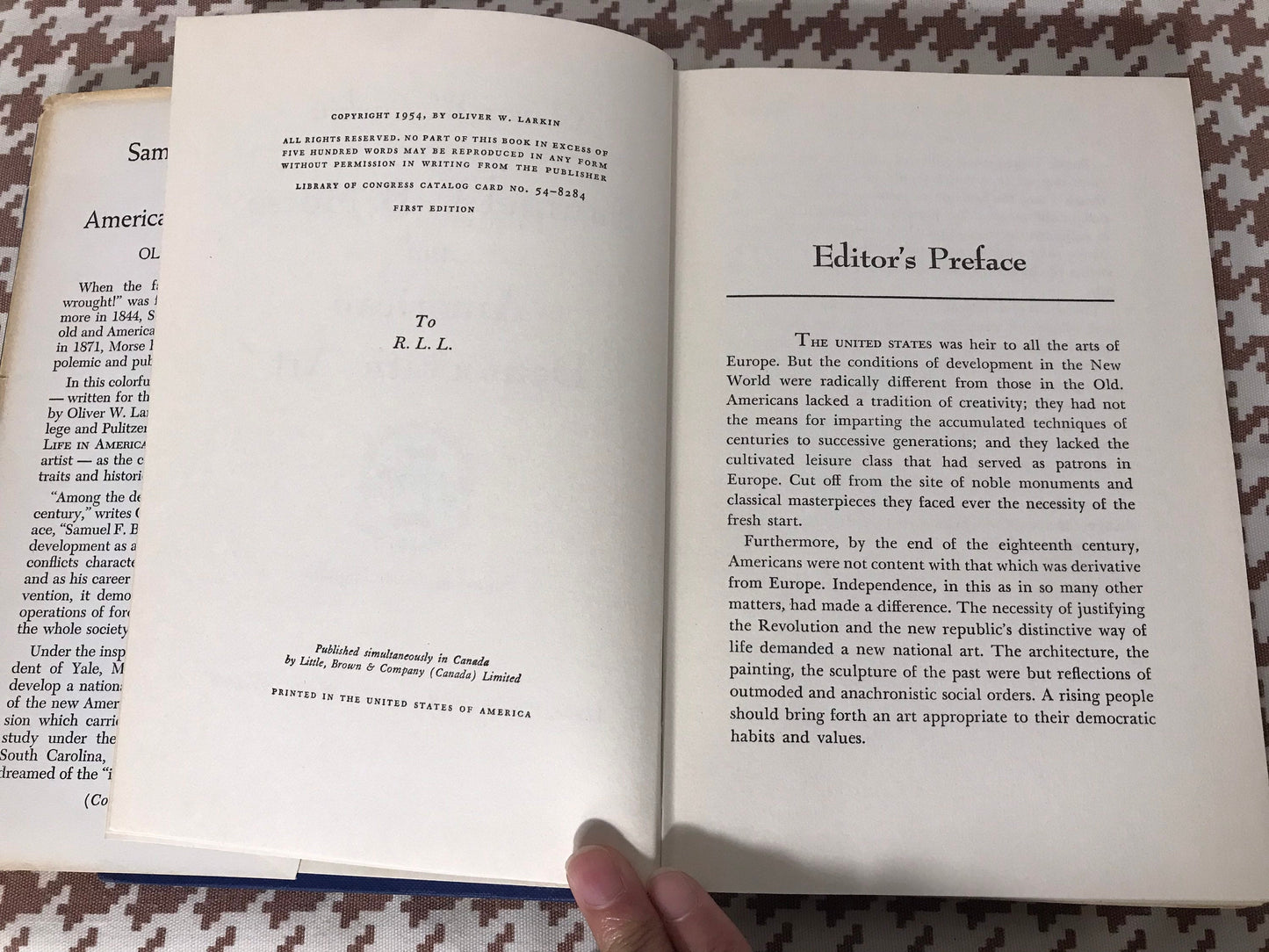 Samuel F.B Morse and American Democratic Art by Oliver W Larkin | Literature & Fiction