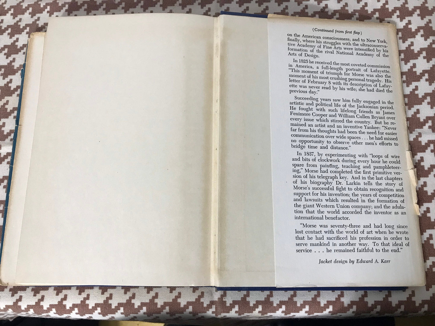 Samuel F.B Morse and American Democratic Art by Oliver W Larkin | Literature & Fiction