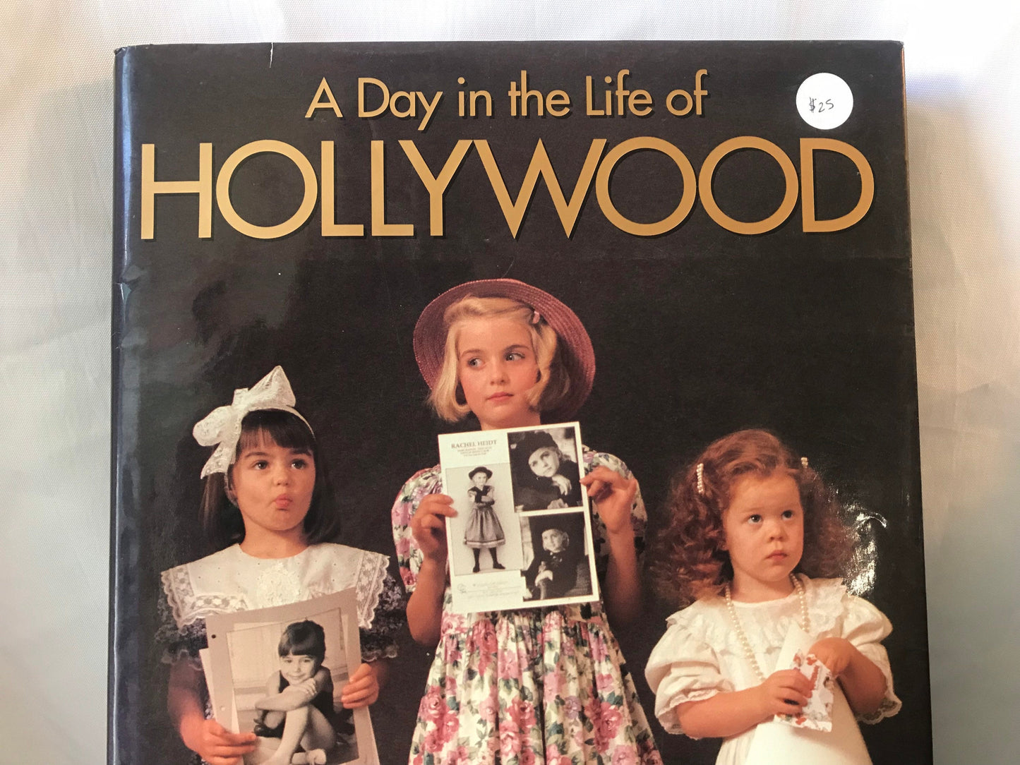 A Day In the life of Hollywood | Literature & Fiction