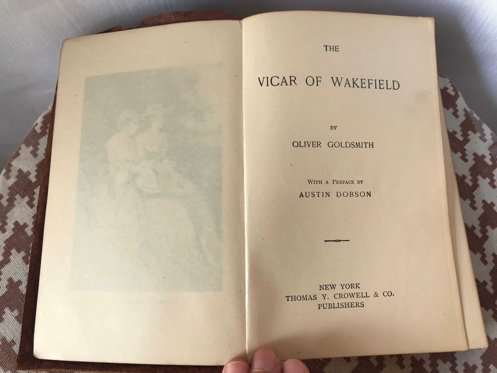 Vicar Of Wakefield by Oliver Goldsmith in leather binding | Literature & Fiction