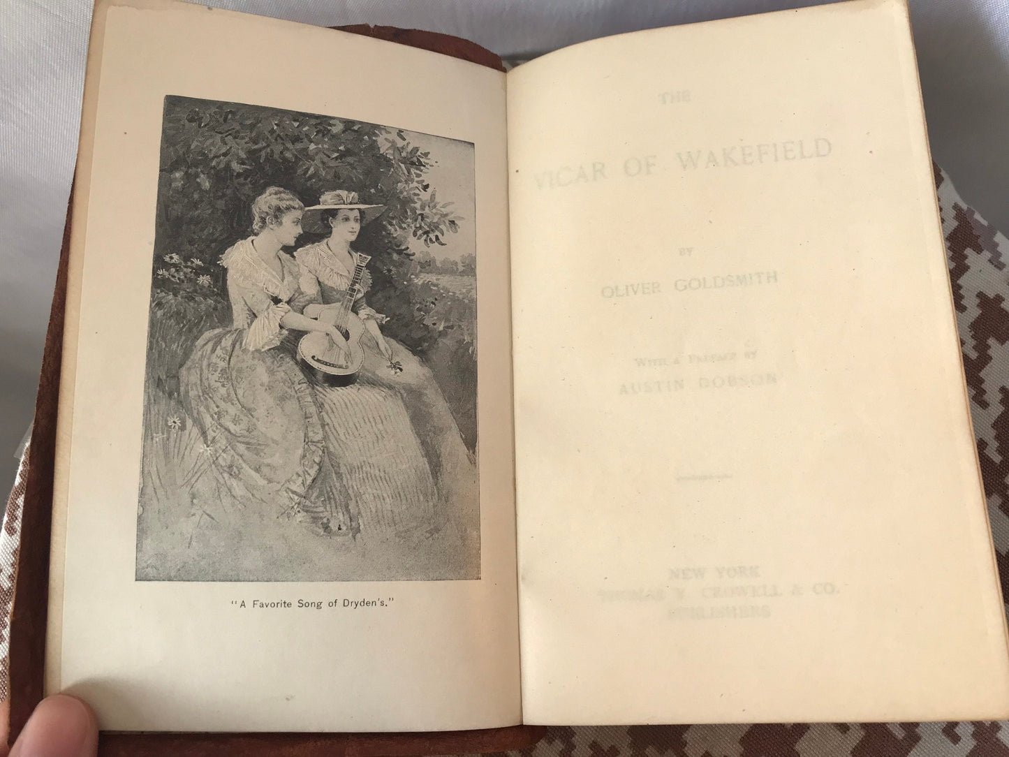 Vicar Of Wakefield by Oliver Goldsmith in leather binding | Literature & Fiction