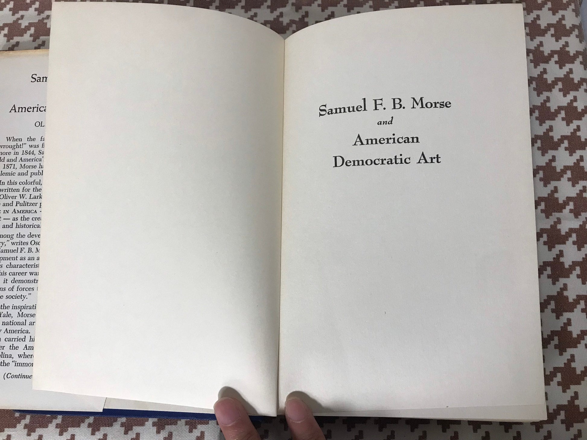 Samuel F.B Morse and American Democratic Art by Oliver W Larkin | Literature & Fiction