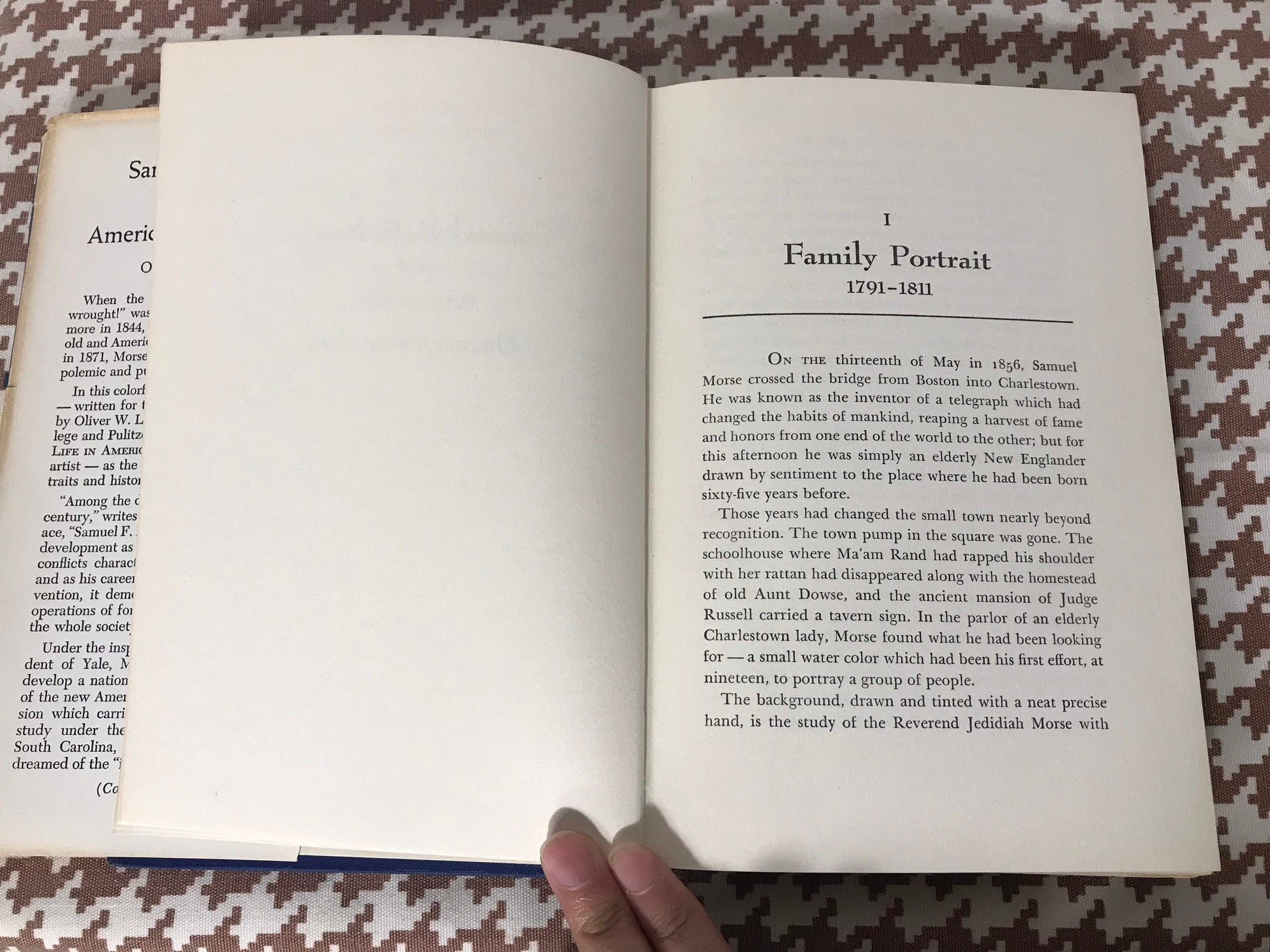 Samuel F.B Morse and American Democratic Art by Oliver W Larkin | Literature & Fiction