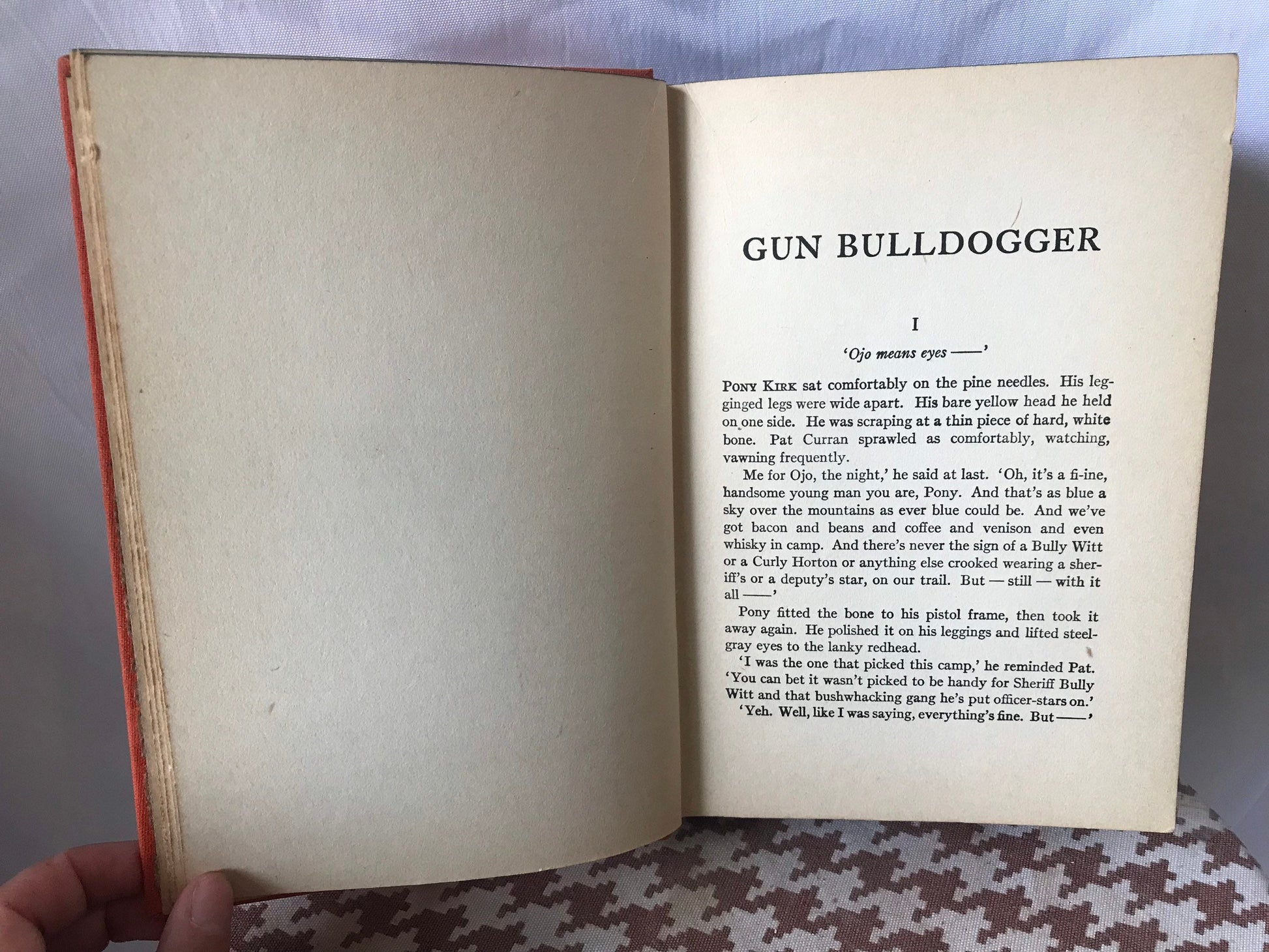 Gun Bulldogger by Eugene Cunningham | Literature