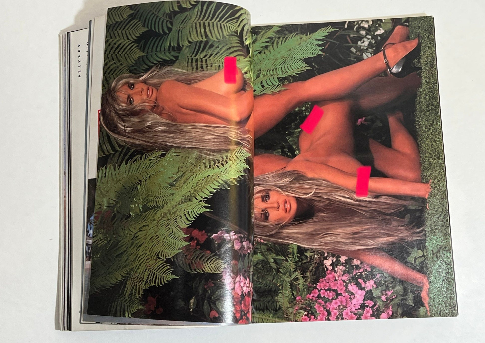 January 1993 Holiday Anniversary Issue Playboy Magazine Barbi Twins | Memorabilia