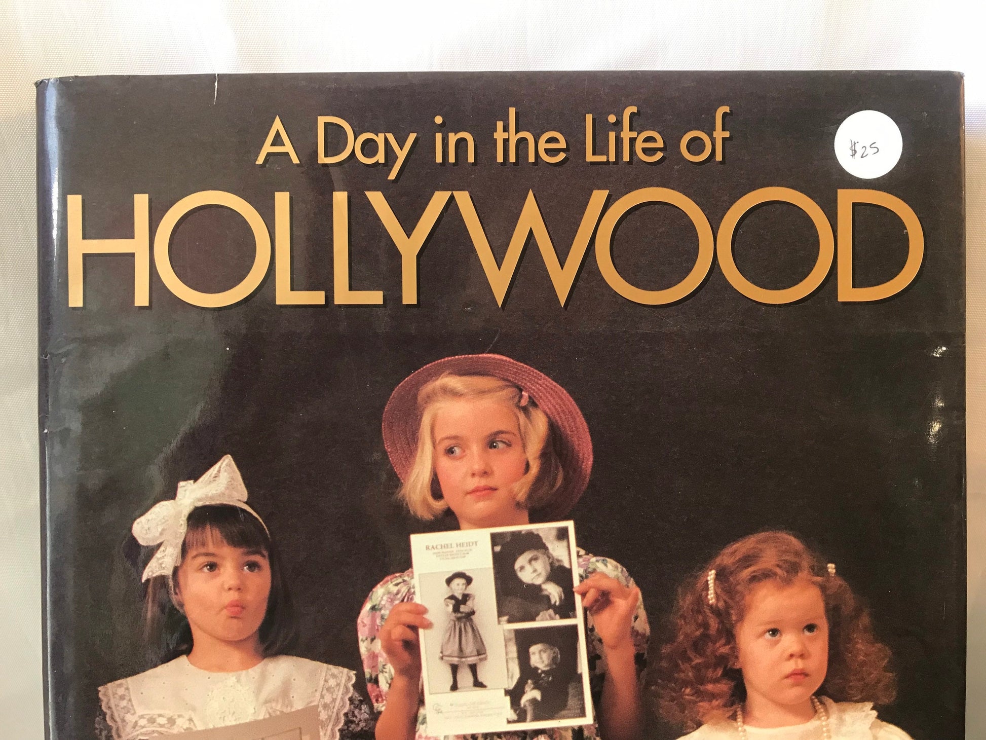 A Day In the life of Hollywood | Literature & Fiction