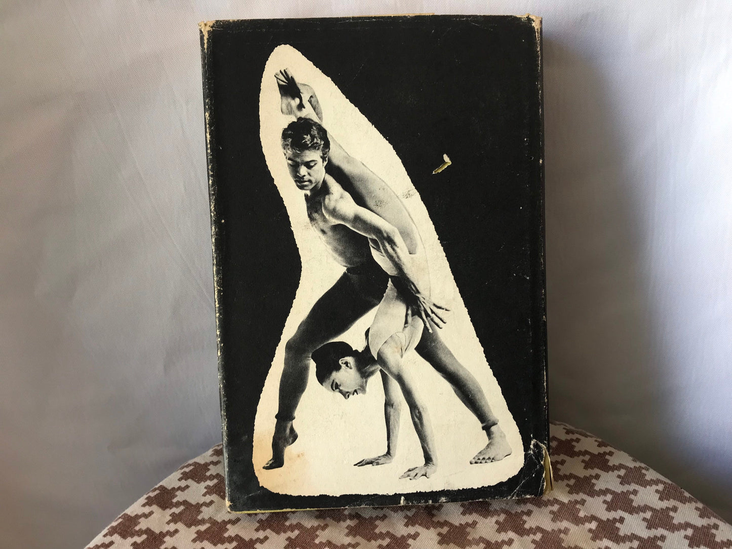 American Modern Dancers by Olga Maynard | The Pioneers | Literature