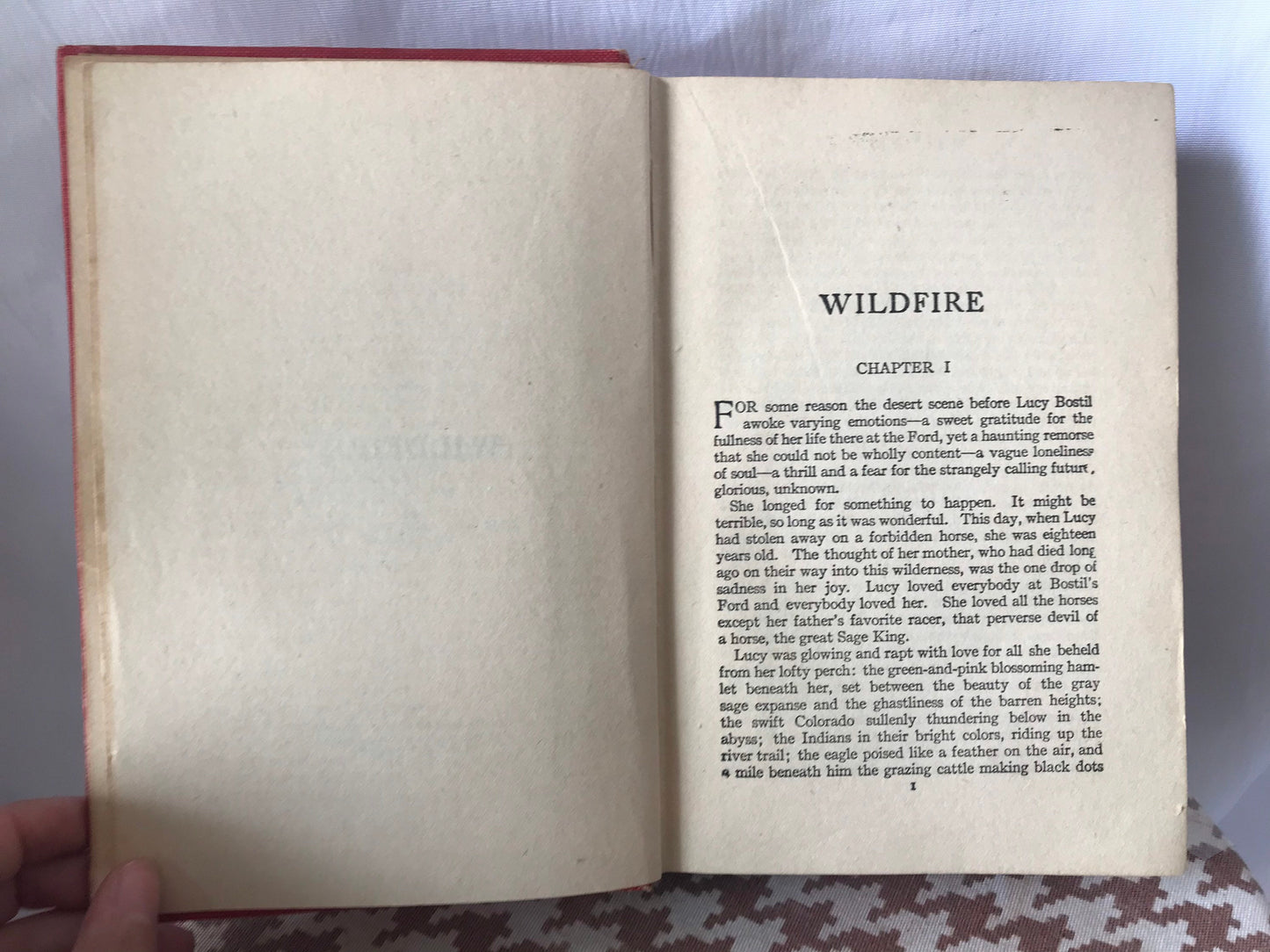 Wildfire by Zane Grey | Literature