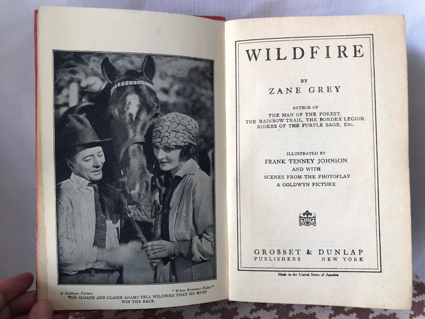 Wildfire by Zane Grey | Literature