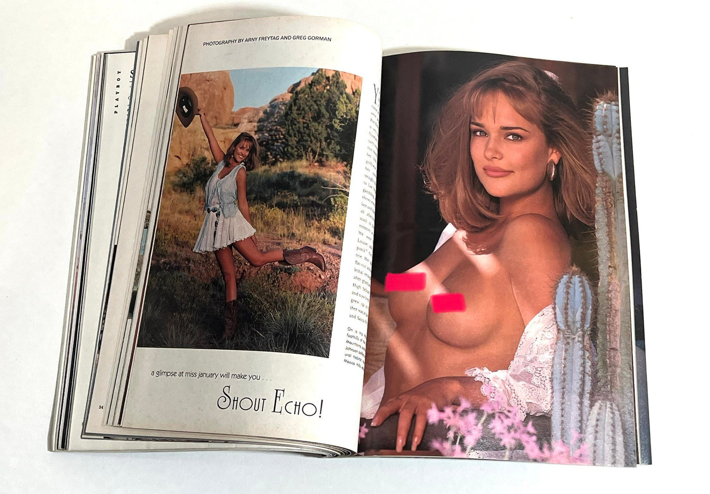 January 1993 Holiday Anniversary Issue Playboy Magazine Barbi Twins | Memorabilia